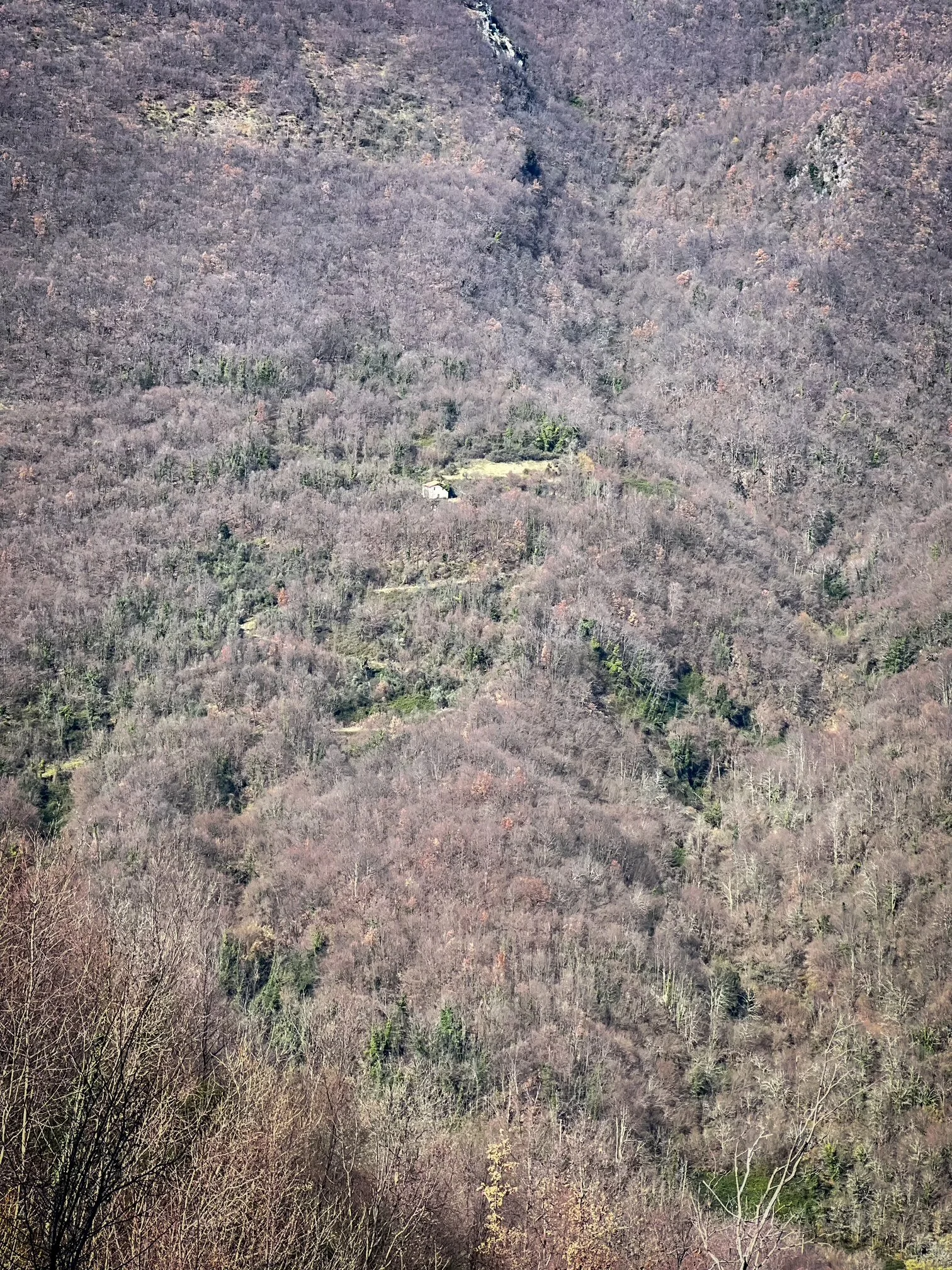 Tiny white cottage surrounded by a forest in the Apennine Mountains of Ciociaria. It's early Spring, there are glimpses of green ground cover but the trees are still bare. View from Picinisco. Wild Heart of Italy. Photo credit Antica Travel Co