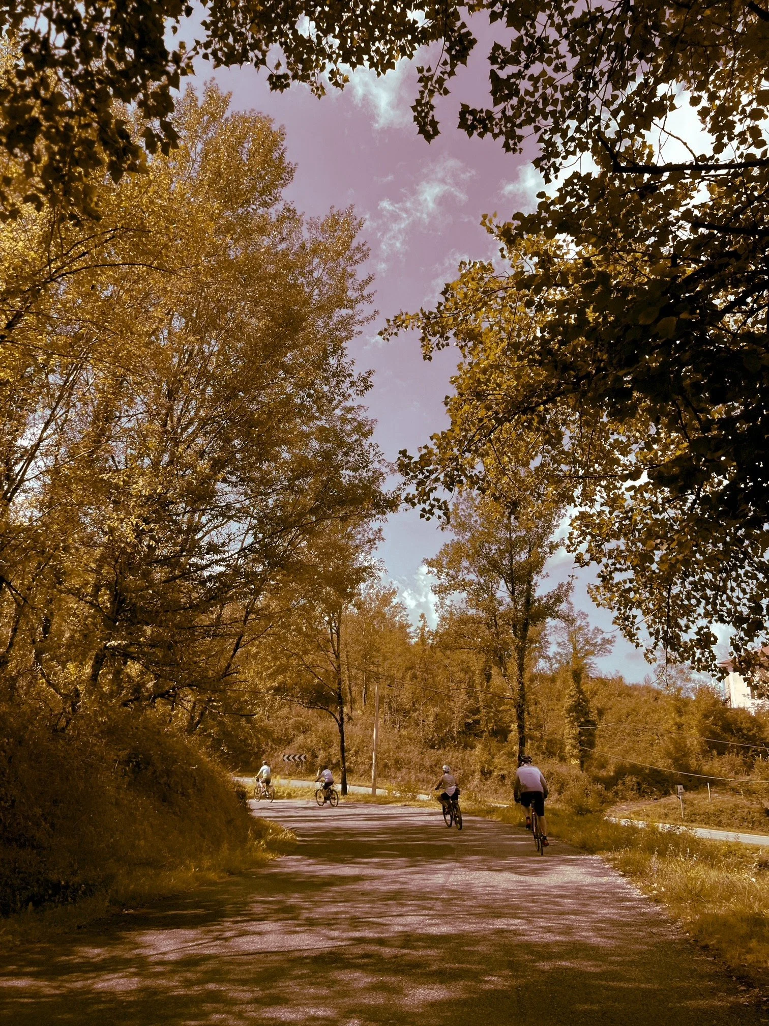 Quiet country roads. Ciociaria Gourmet Cycle Tour. Antica Travel Co.