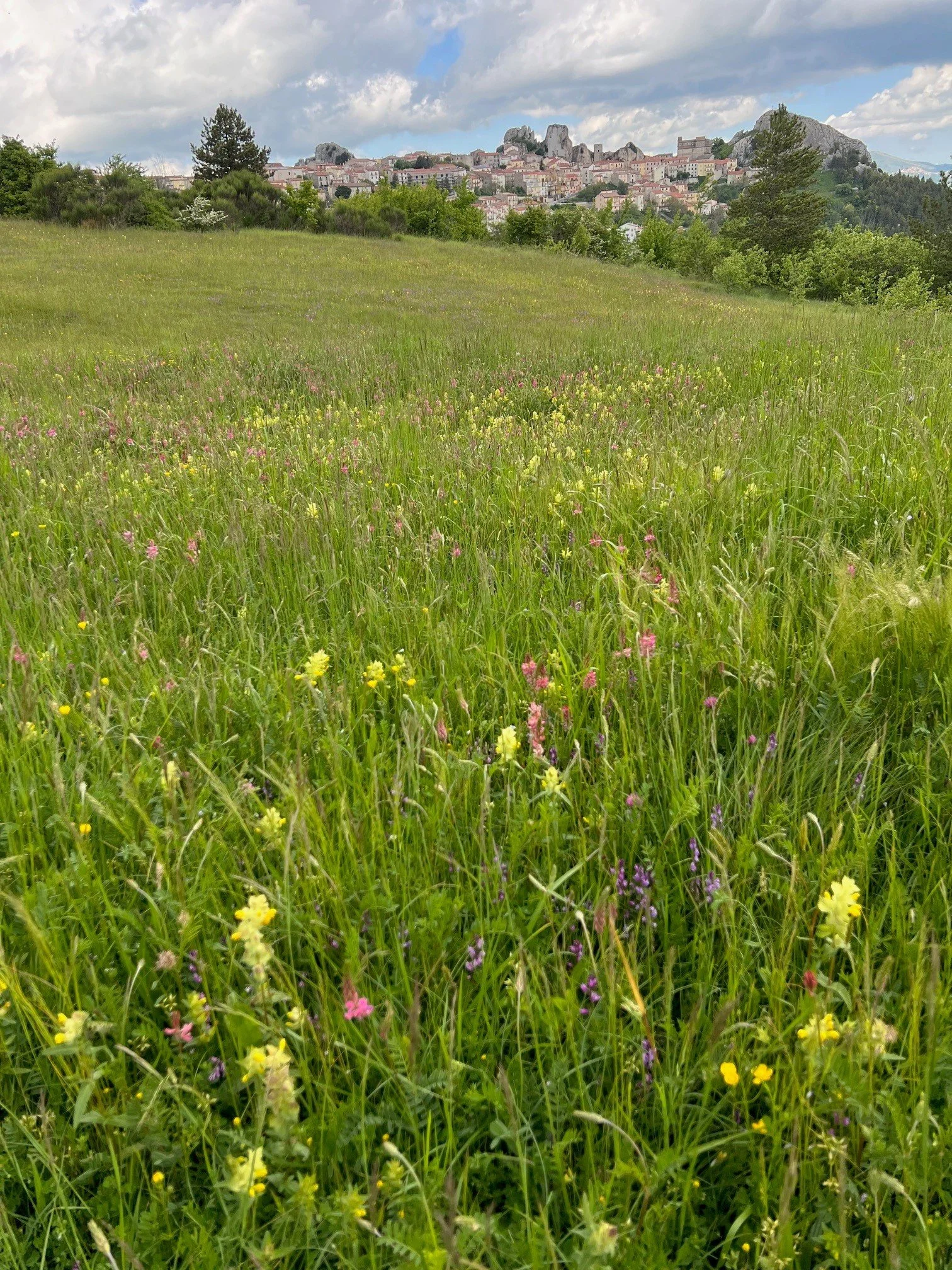 The village of Pietrabbondante in Molise is one of the highlights of Antica Cultural Travel Experiences through the Wild Heart of Italy