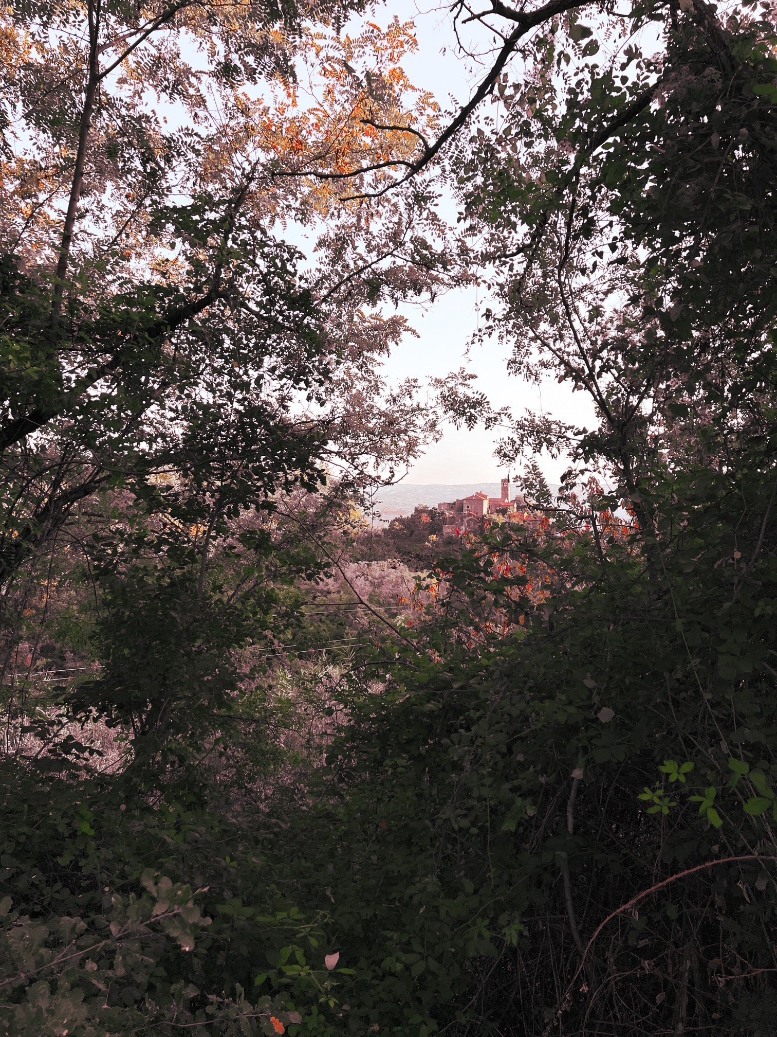 Amphorae and painted wall in Istria, Croatia. Antica Travel Co
