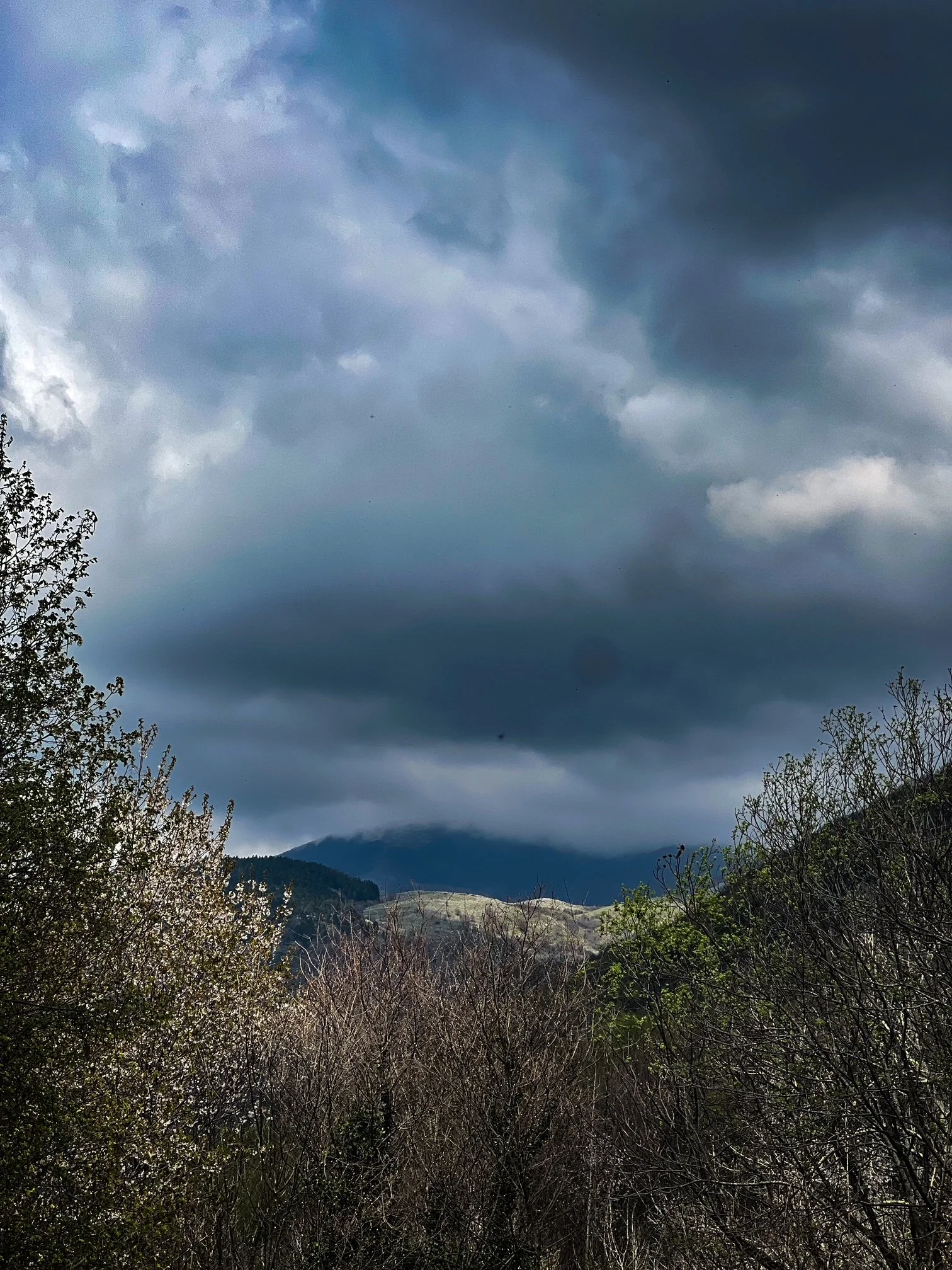 A view of the Appenine Mountains covered in mist and dark clouds, with wildflowers and trees in the foreground. From Picinsisco in the Valle di Comino, Ciociaria. Wild Heart of Italy. Photo credit Antica Travel Co