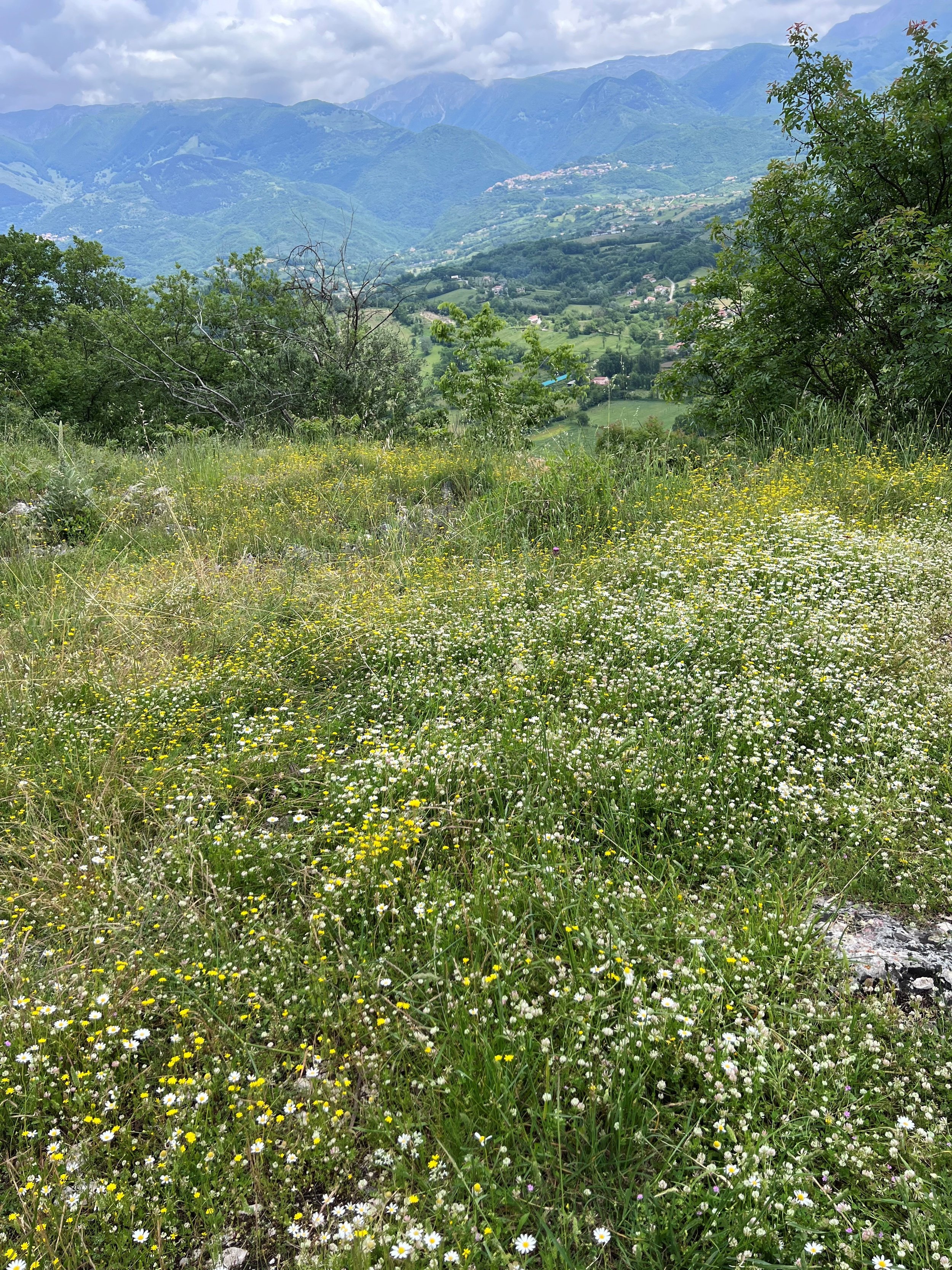 Santo Stefano View.jpg