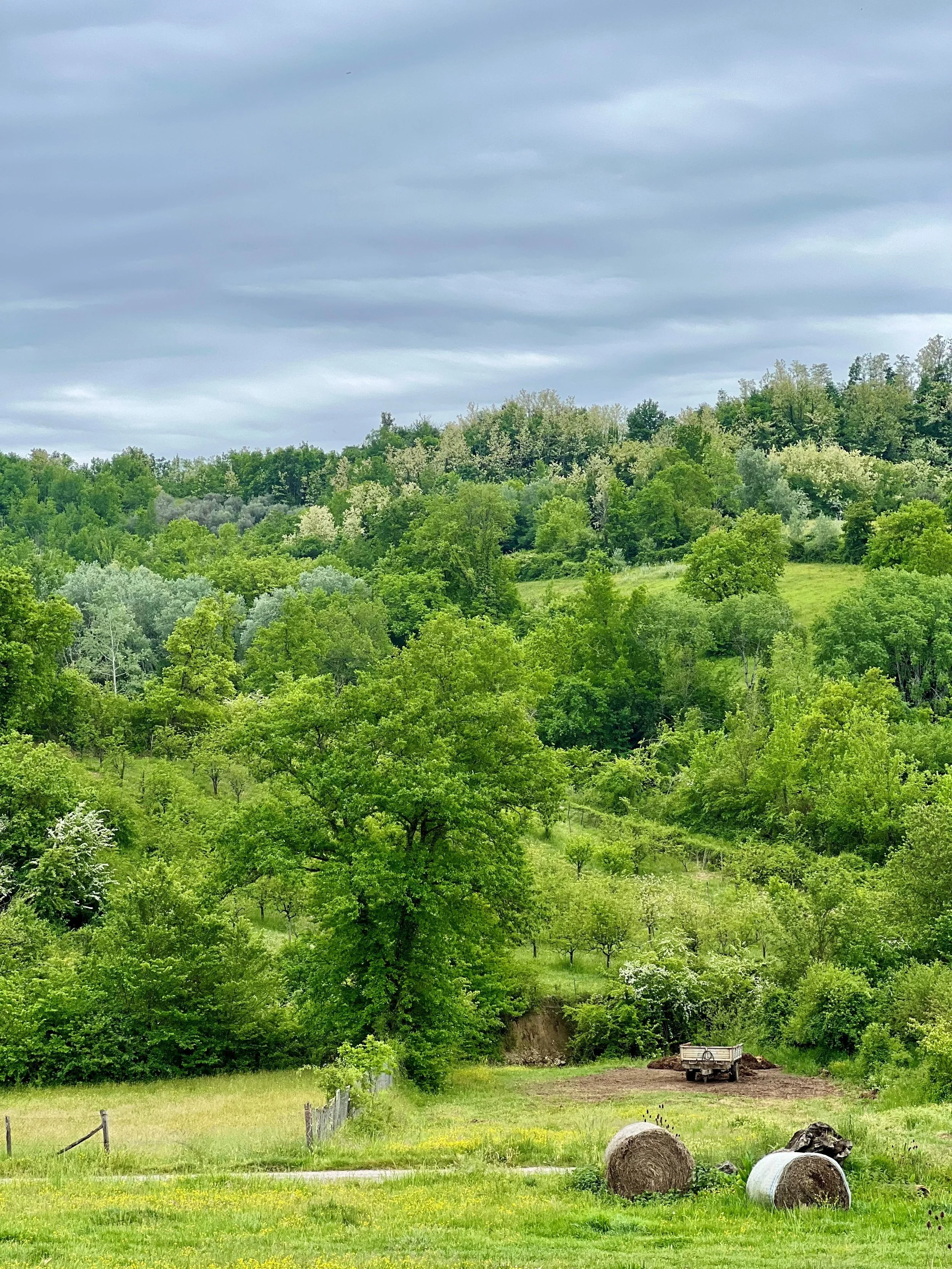 Vibrant green farmland in Ciociaria in May, Wild Heart of Italy. Antica Travel Co