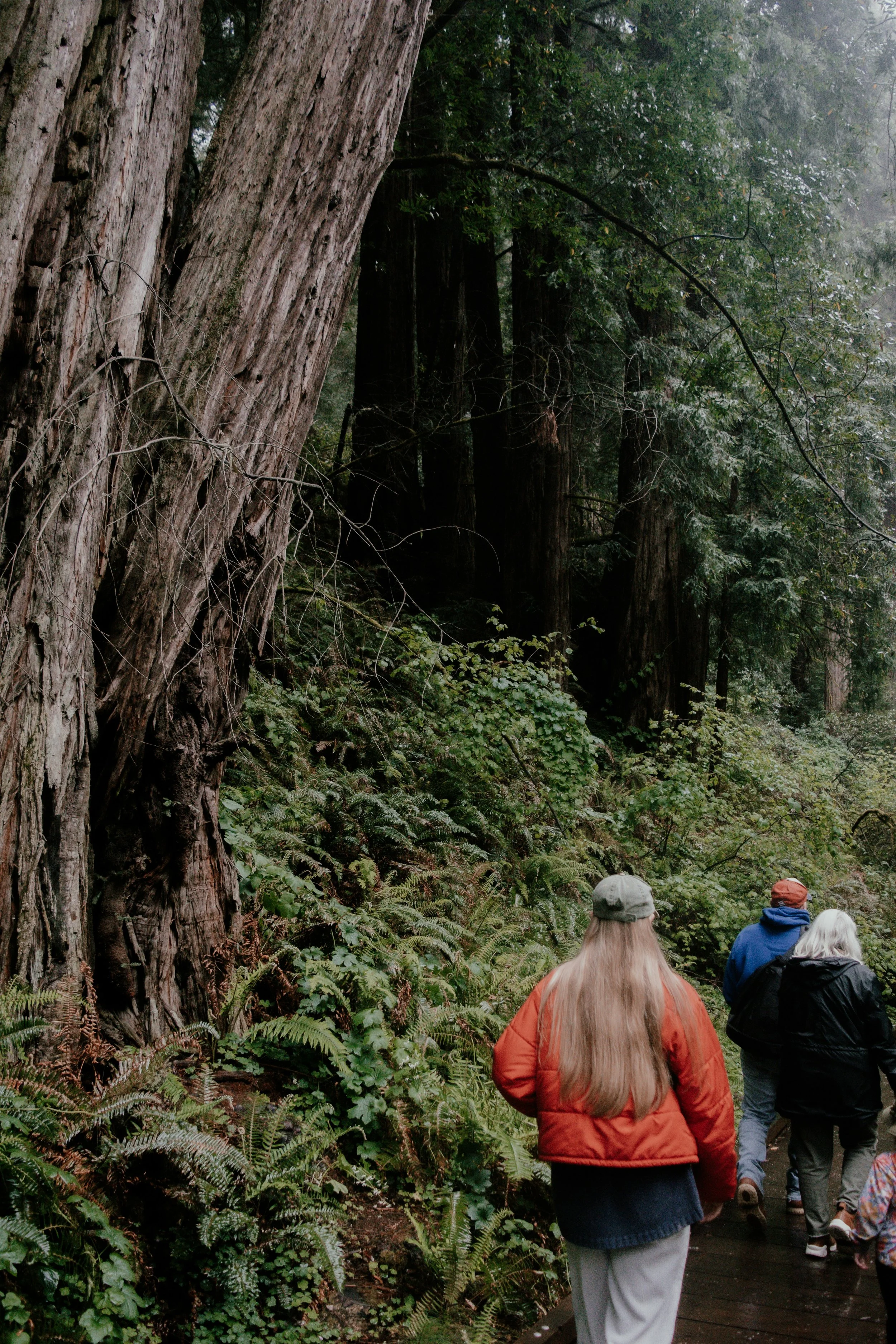 Parents and teen on a forest trail in Burnaby BC, thinking about perinatal counselling, parenting support and grief therapy.