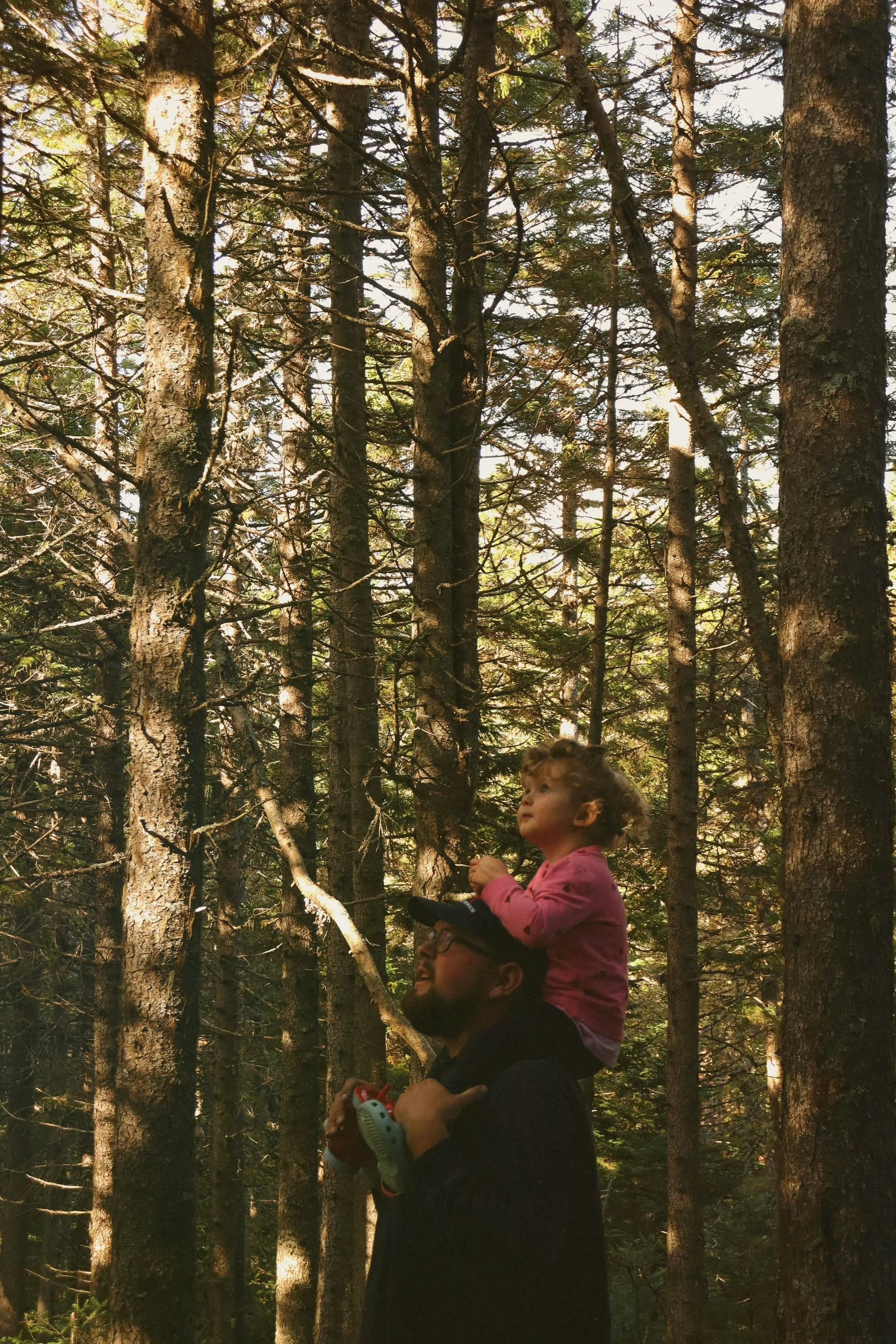 A child on a dad's shoulders in a Burnaby BC forest talking about parenting support and perinatal counselling.
