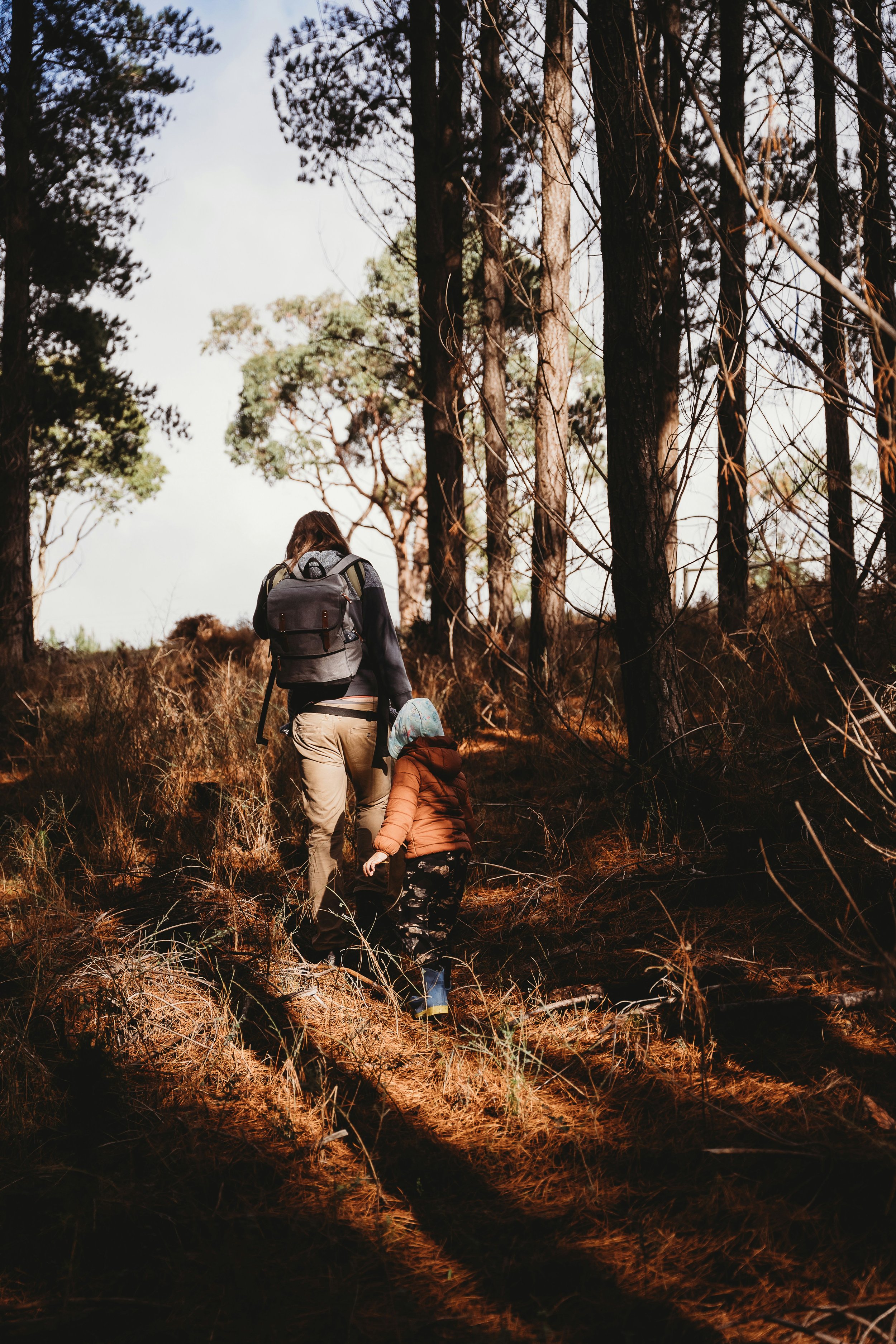 A child and dad walking on a Burnaby BC trail, talking about trauma therapy and perinatal counselling.