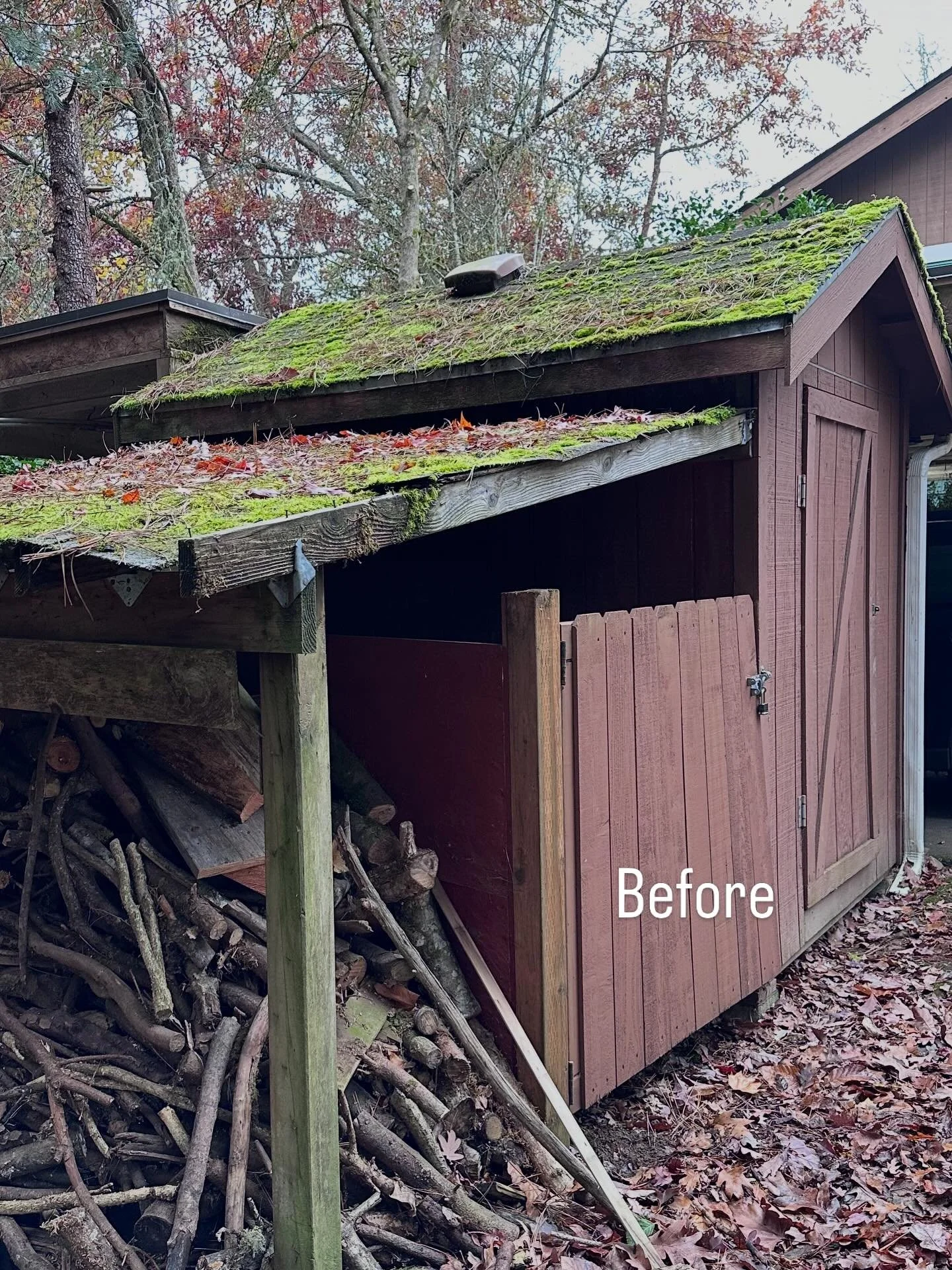 This started as a not so usefull wood storage lean-to. The client cleared it out and I built a new custom shed in its place &mdash; framed, sided, and fitted with a custom door that matches the attached shed.

It&rsquo;s tucked right next to the exis