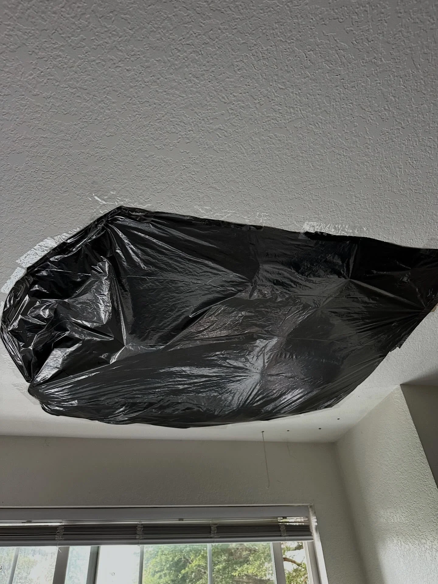 Started with a trash bag on the ceiling catching a leak. Once the water damage was sorted out, I came in to handle the drywall repair &mdash; cut out the damaged section, reframed, patched, and retextured to match the existing popcorn ceiling.

It ju