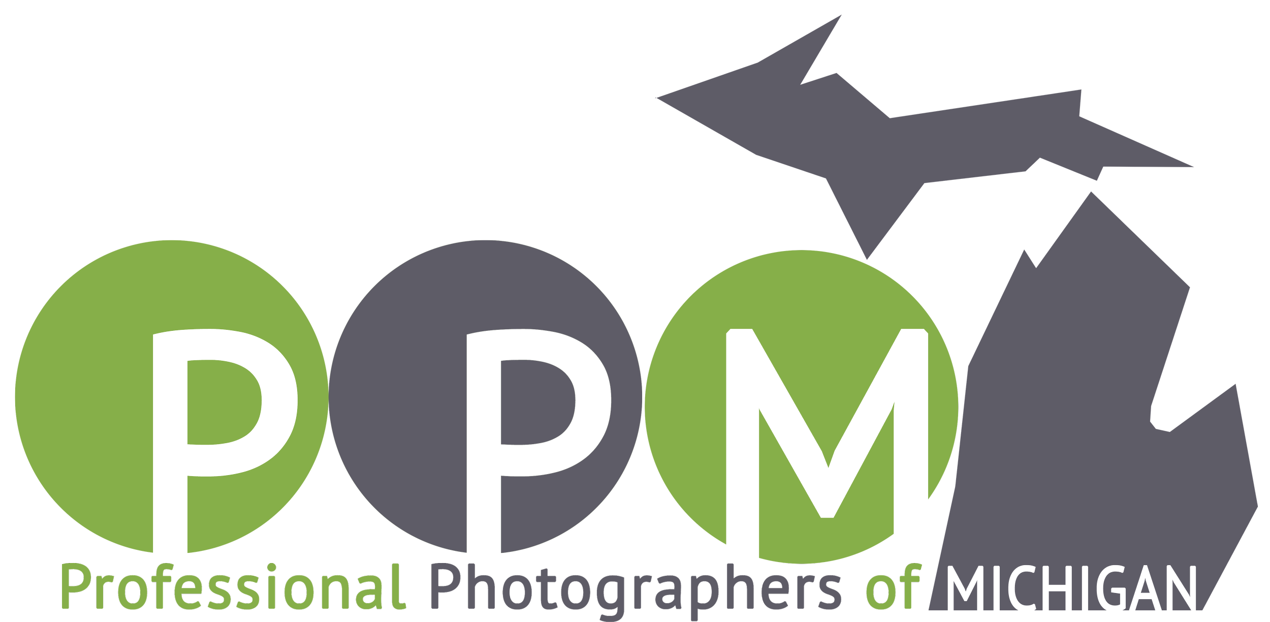 professional photographers of michigan member logo