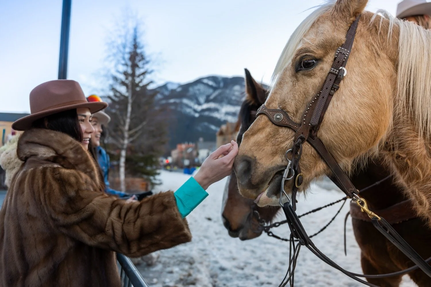 Horse Meeting_Skijoring_SnowDays Festival_Banff National Park_Robert Massey Photography.jpeg