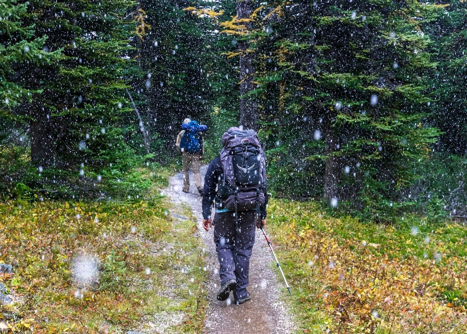 Egypt Lake Snowfall_Banff National Park_Robert Massey Photography.jpeg