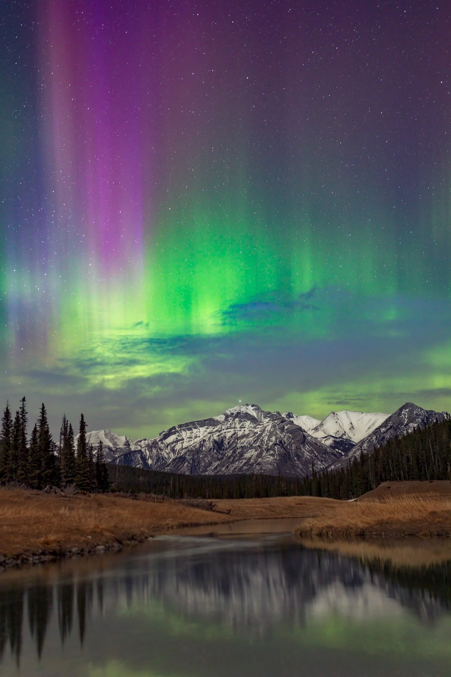 Minnewanka Loop_Banff National Park_Aurora_Robert Massey Photography.jpeg