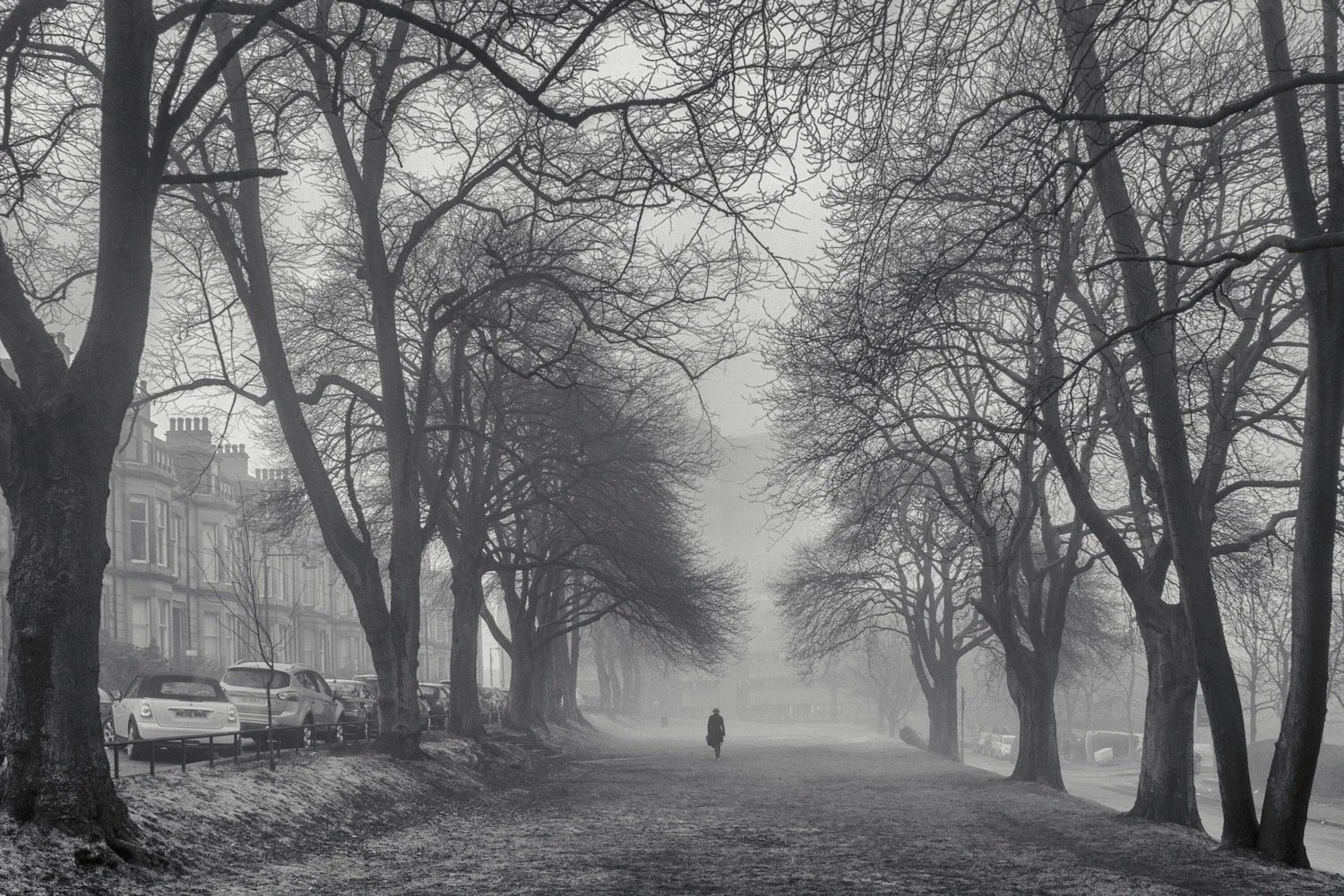 Path through the trees_Glasgow Scotland_Robert Massey Photography.jpeg