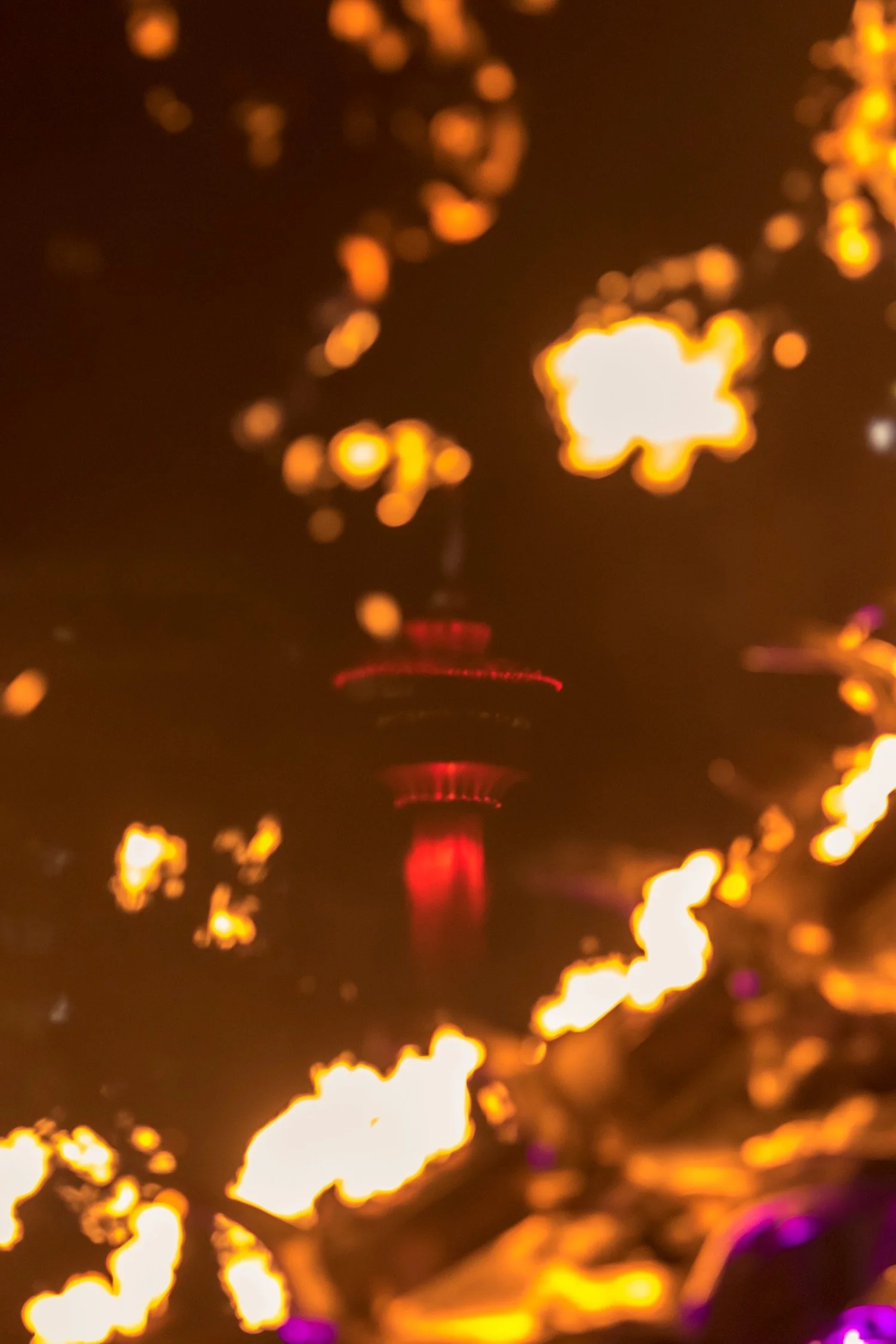 Serpent Mother_Beakerhead_Calgary Alberta_Robert Massey Photography.jpeg