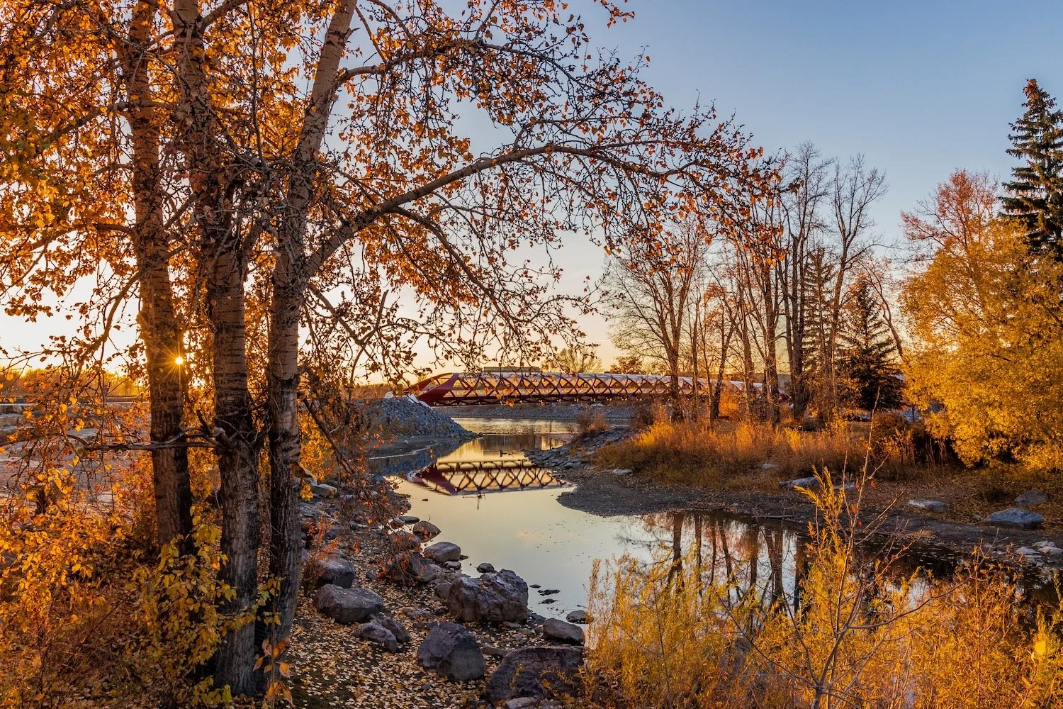 Fall Colours_Calgary Peace Bridge_Alberta_Robert Massey Photography.jpeg