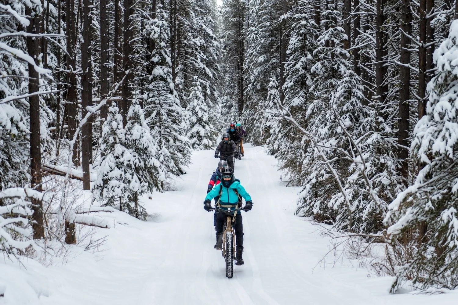 Bikescape_Guided fatbike tour_Banff_Robert Massey Photography.jpeg