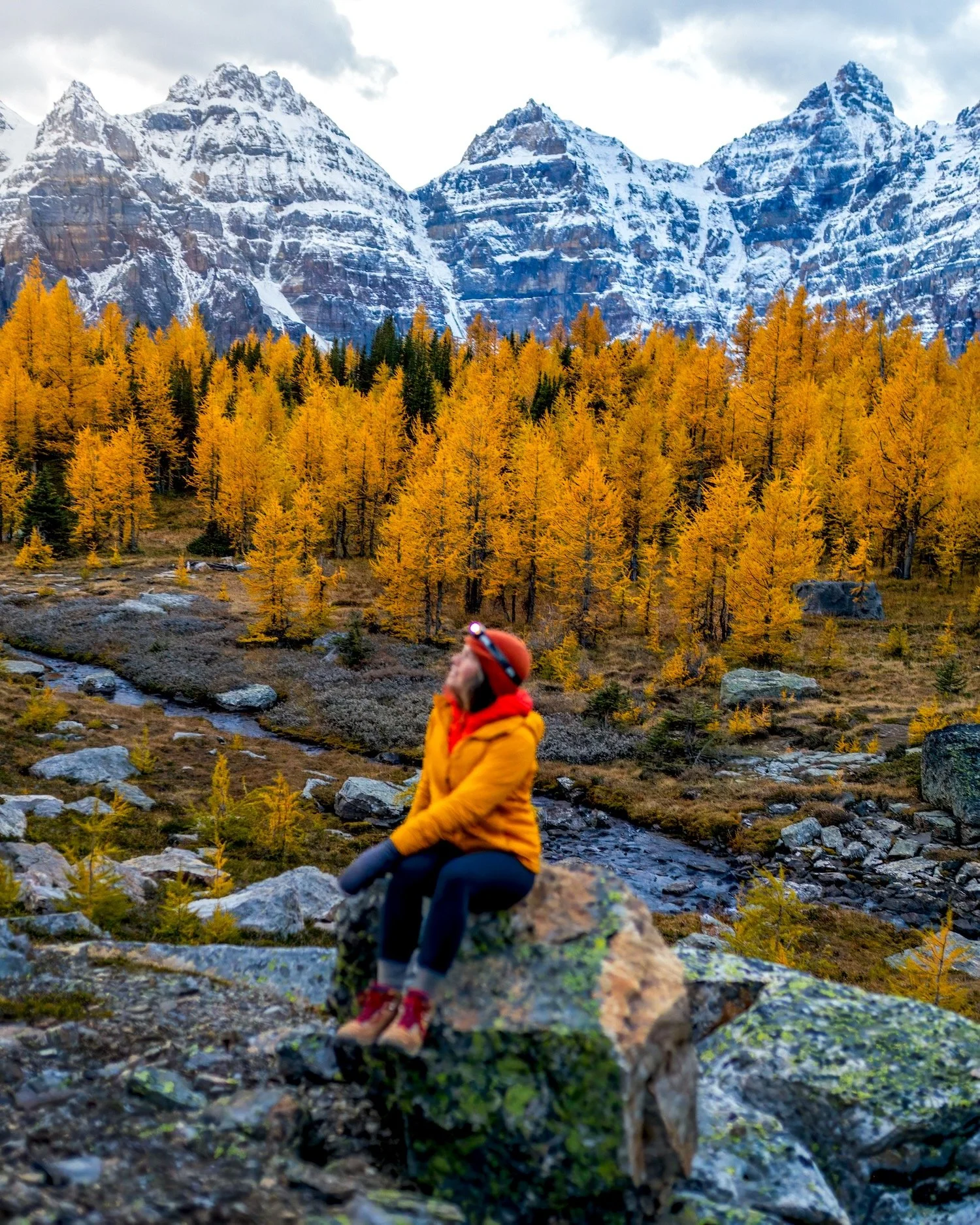 Larch Valley portrait_Moraine Lake_Banff National Park_Robert Massey Photography.jpeg