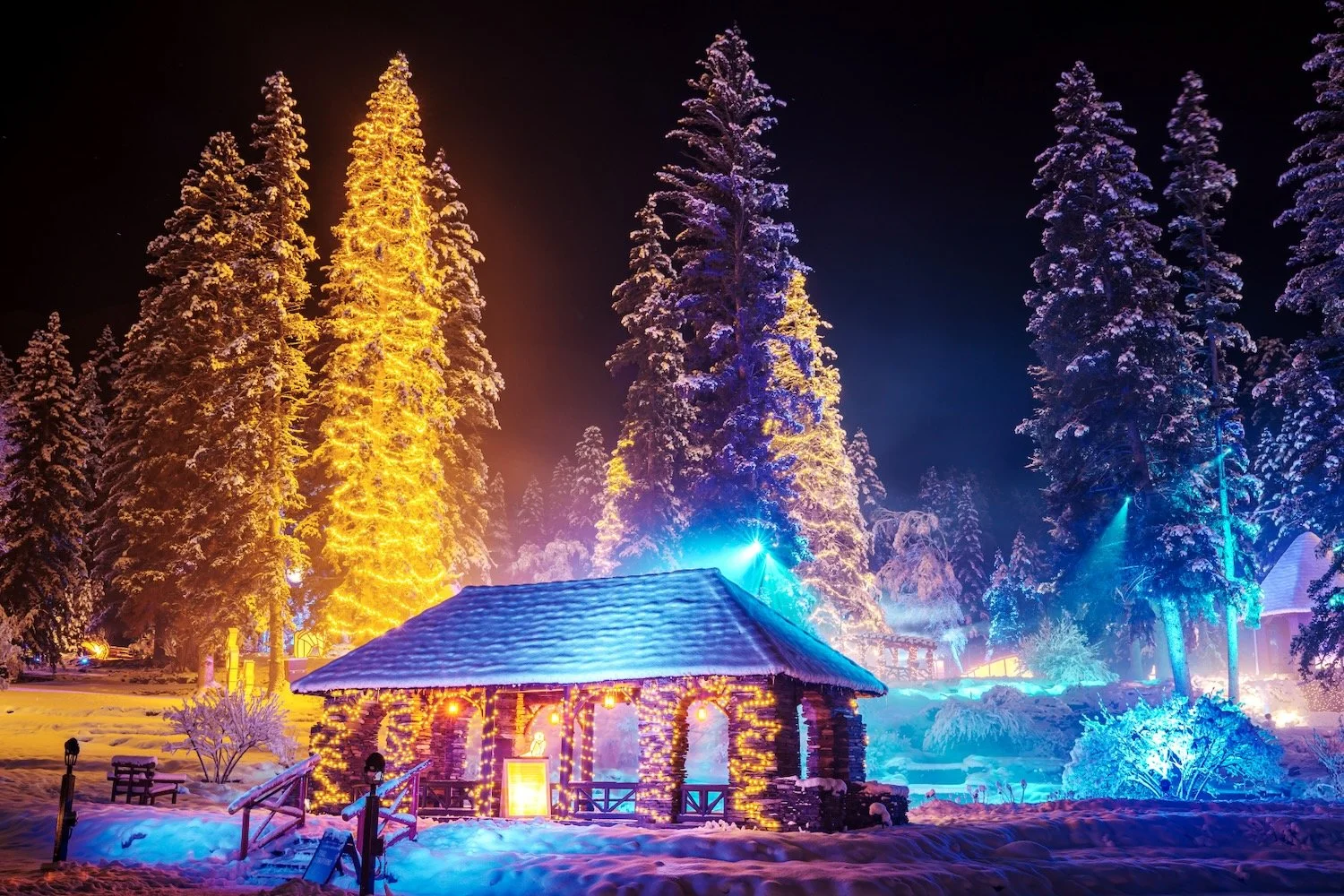 In Search of Christmas Spirit_Banff_Robert Massey Photography.jpeg