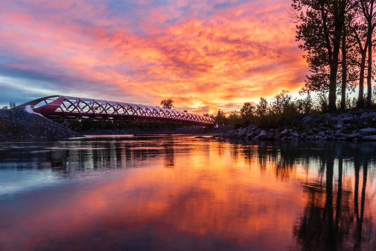 Calgary Peace Bridge at Sunset_Robert Massey Photography.jpeg