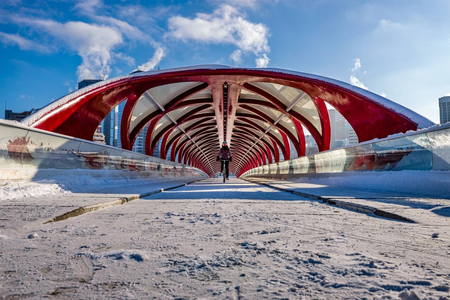 Peace Bridge_Calgary_Bike Rider_Robert Massey Photography.jpeg