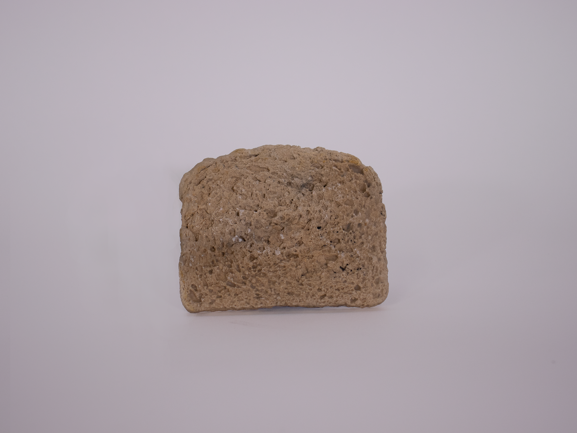 _MG_2458-1 copy.png