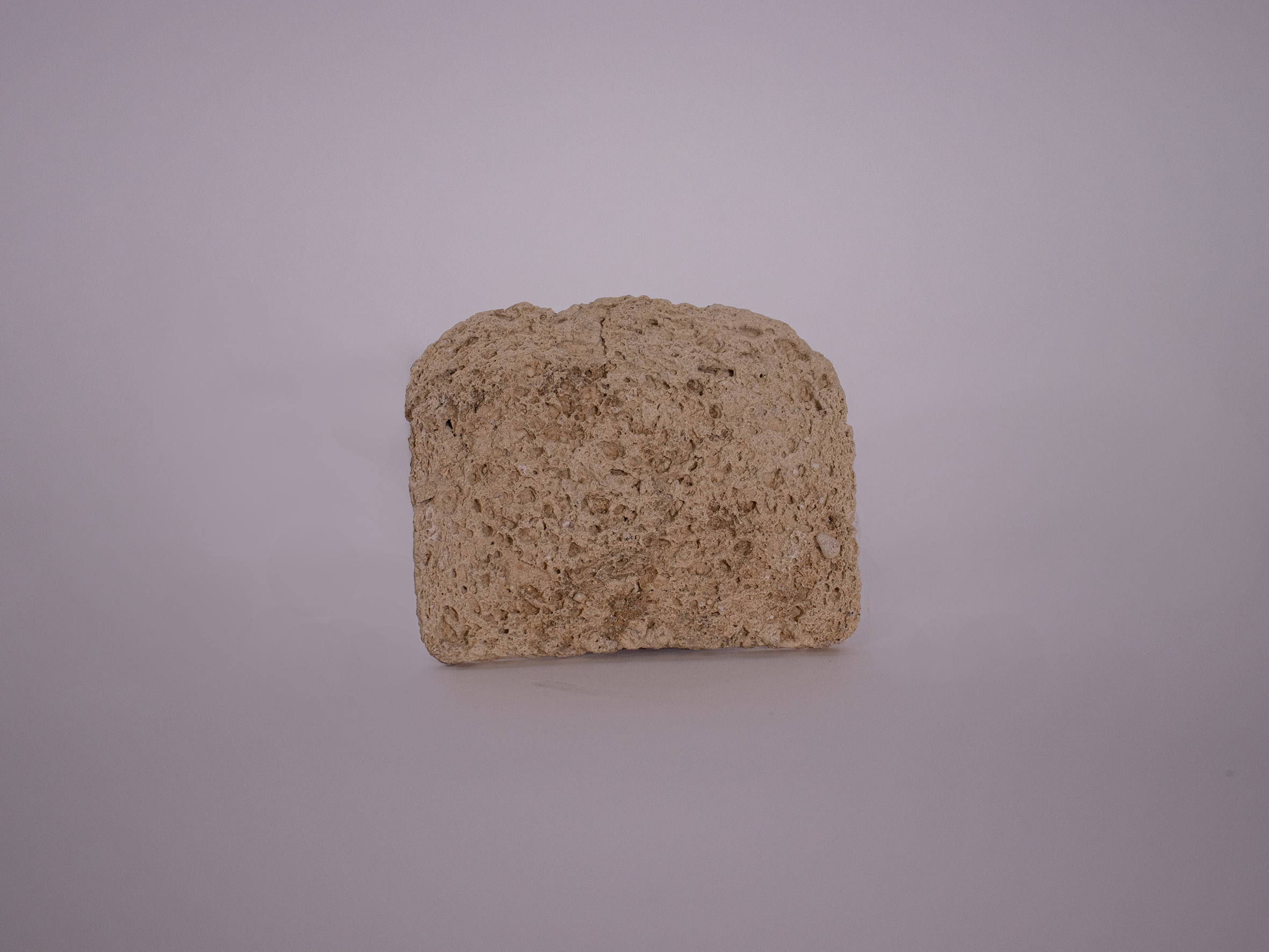 _MG_2459-1 copy.png