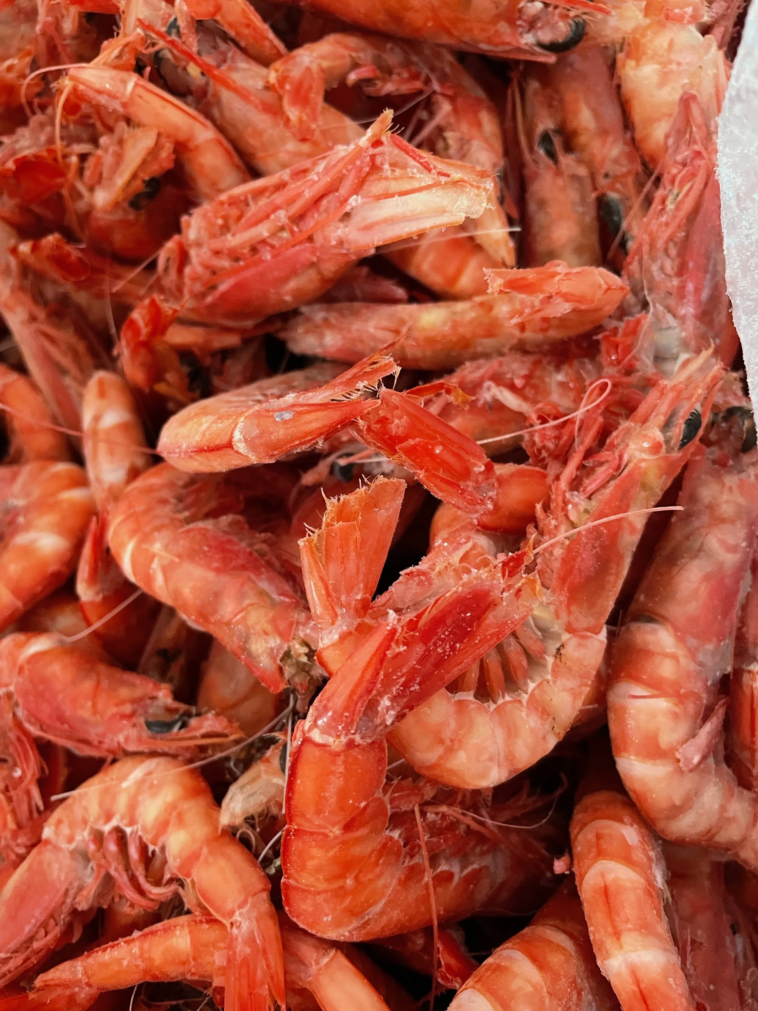 Store — Jones Farm