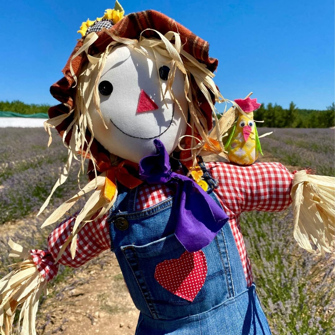 Scarecrow display