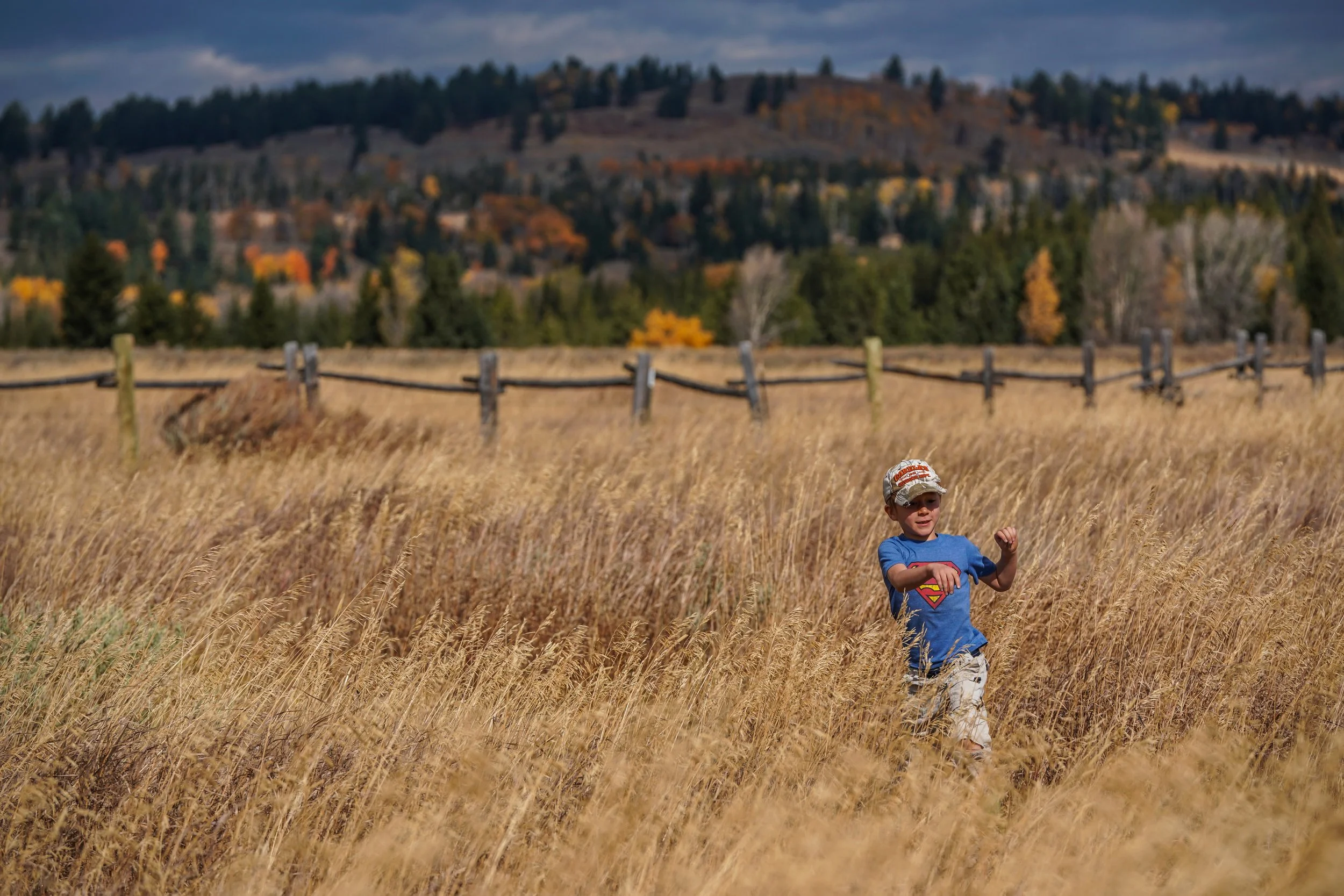 A young boy wearing a blue shirt with a Superman logo, camouflage shorts, and a baseball cap, running through a field of tall, golden grass with mountains and trees in the background during autumn.