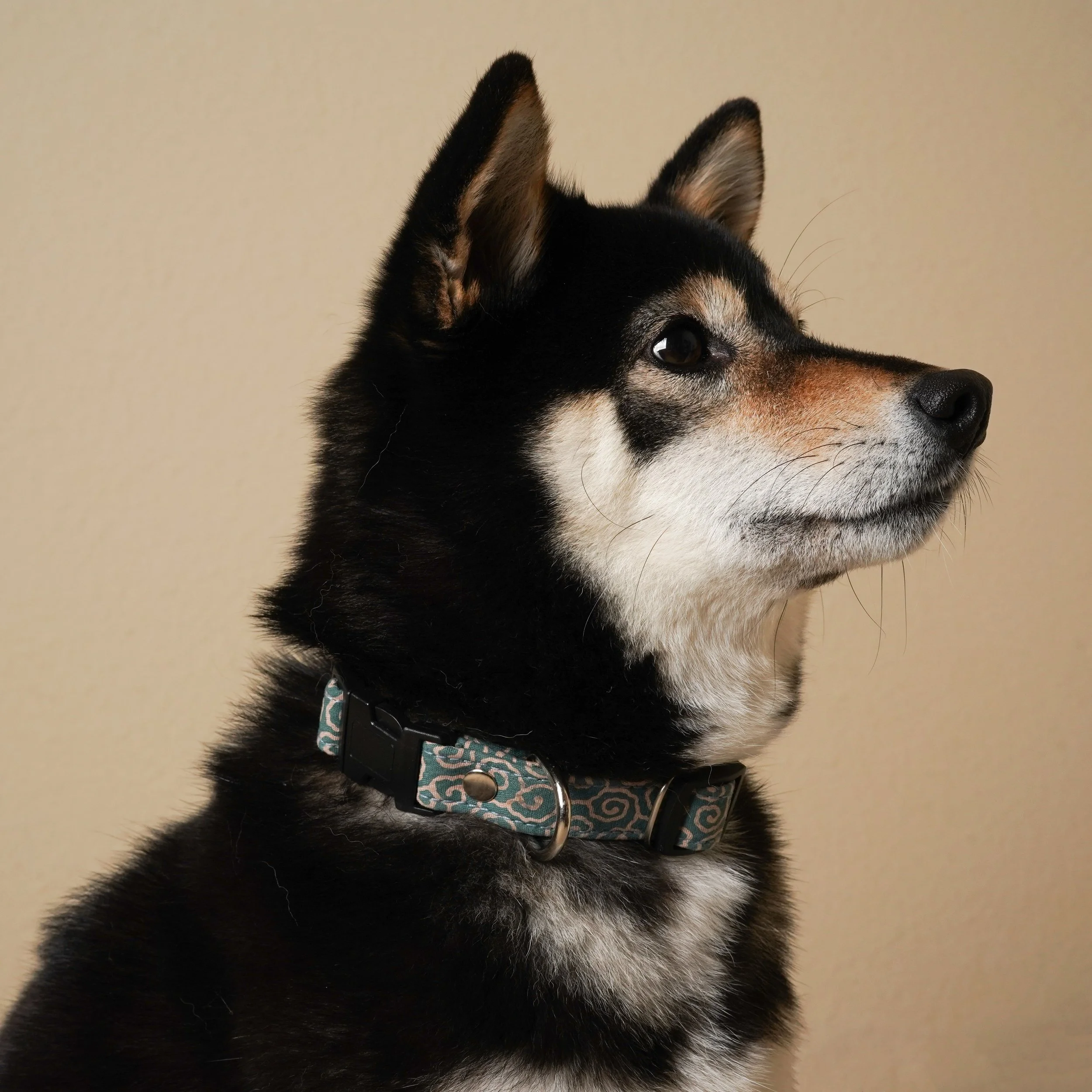 DSC04014.jpg