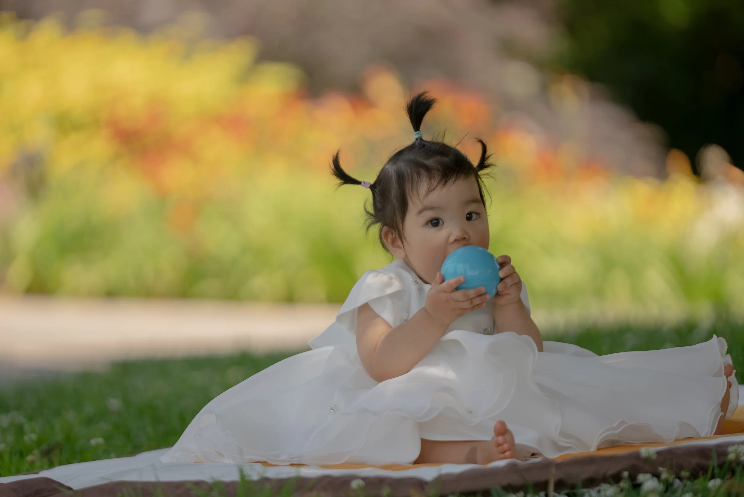 A young girl with pigtails, dressed in a white dress, sitting on a blanket outdoors, holding and biting a blue ball, with a blurred background of colorful foliage.