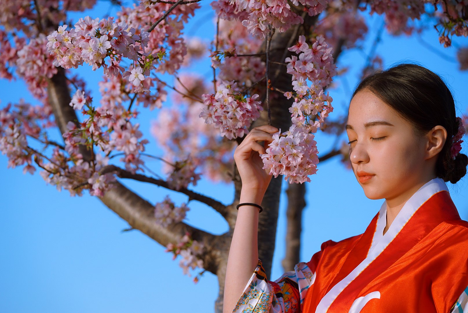 A woman wearing traditional Japanese clothing with her eyes closed, touching pink cherry blossoms on a tree against a blue sky.