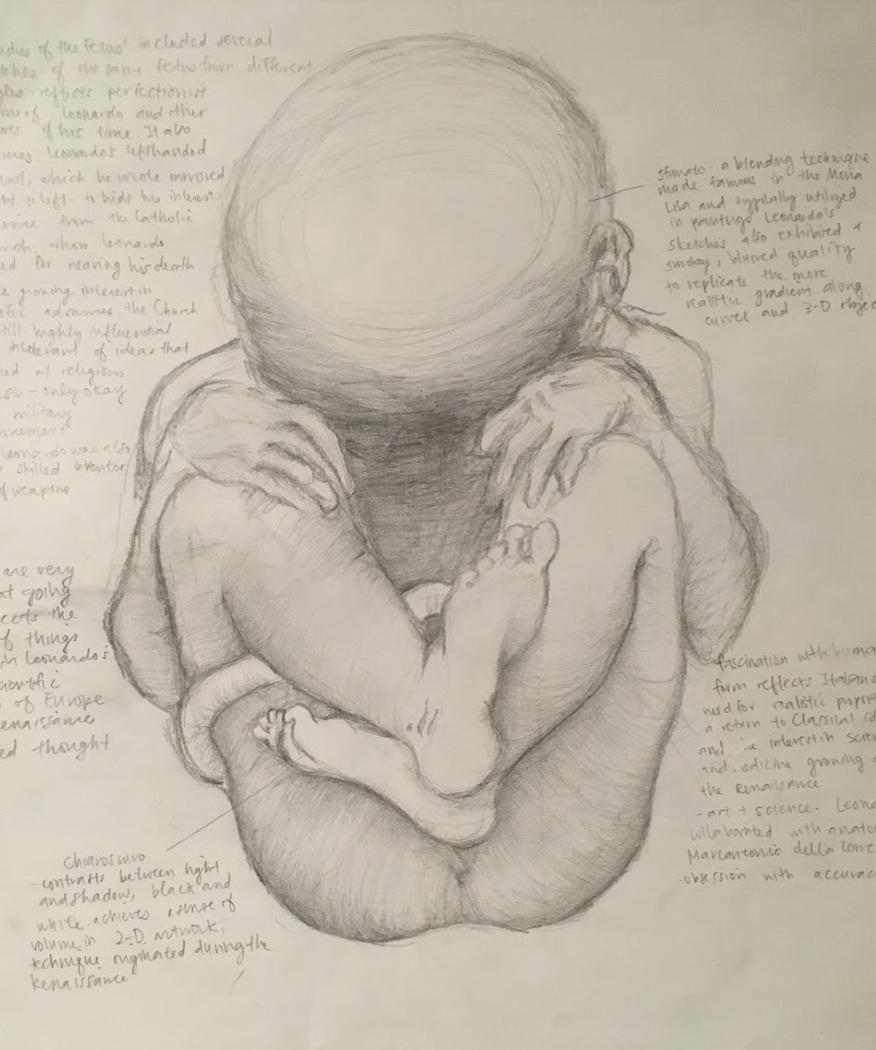 da vinci's fetus study