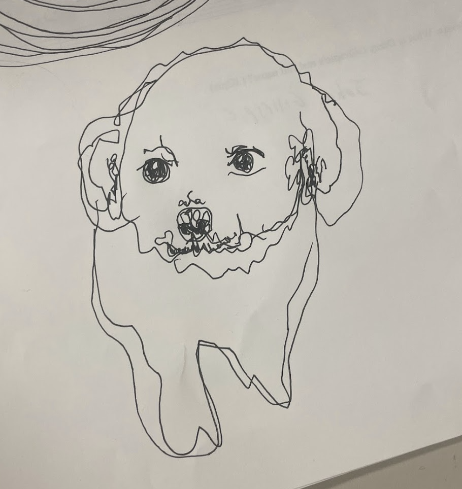 aggie waggie