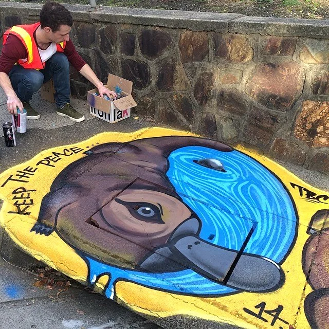 graffstreet-rohan-drain-platypus-2.jpg