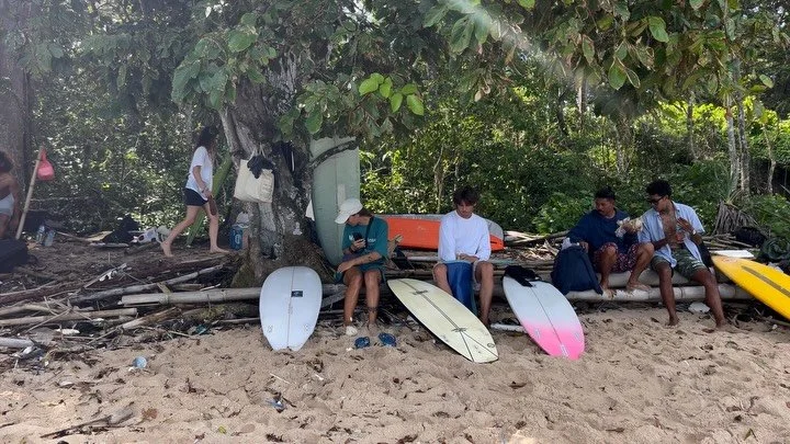 fig.  iii  tigertracks, jv