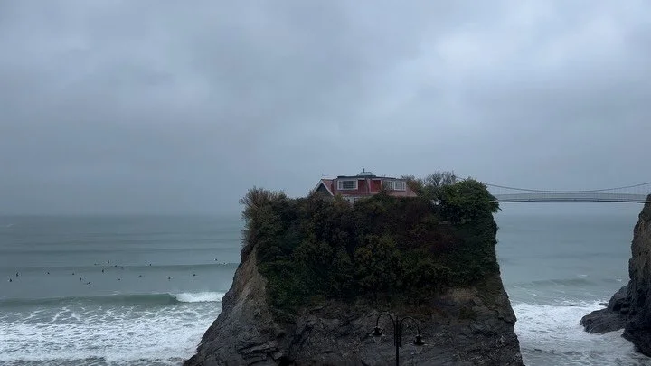 fig.  x  bibbertrip, cw