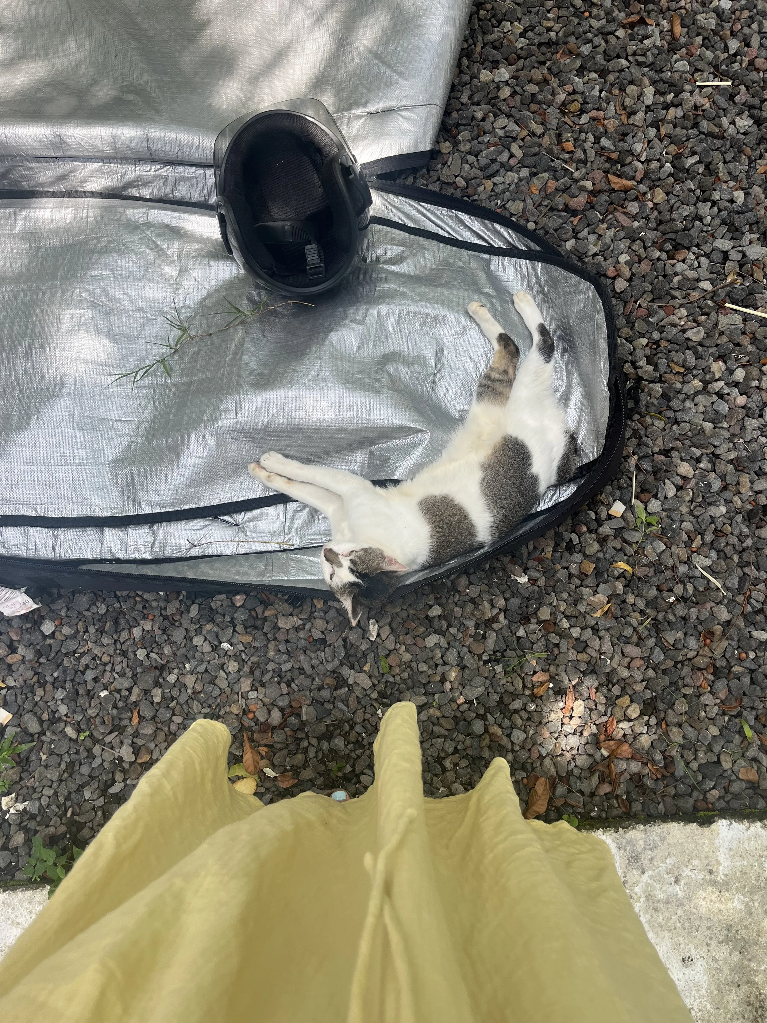 From the garden of trust