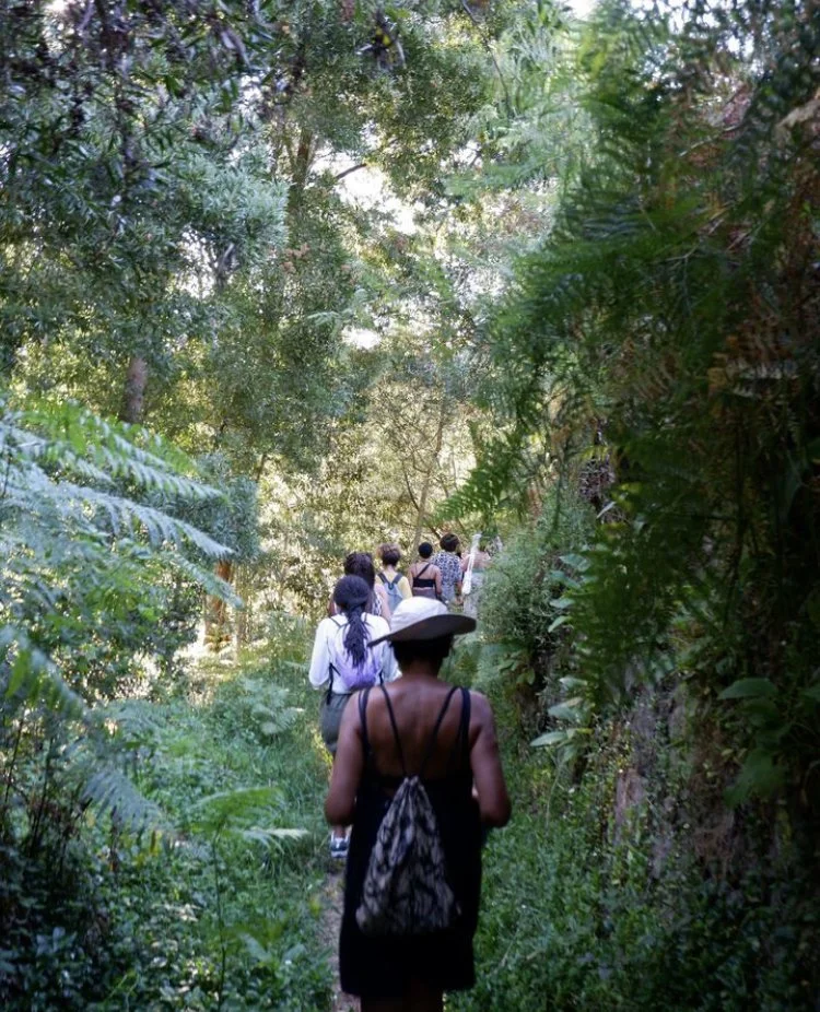 Group of people hiking through a lush forested trail.