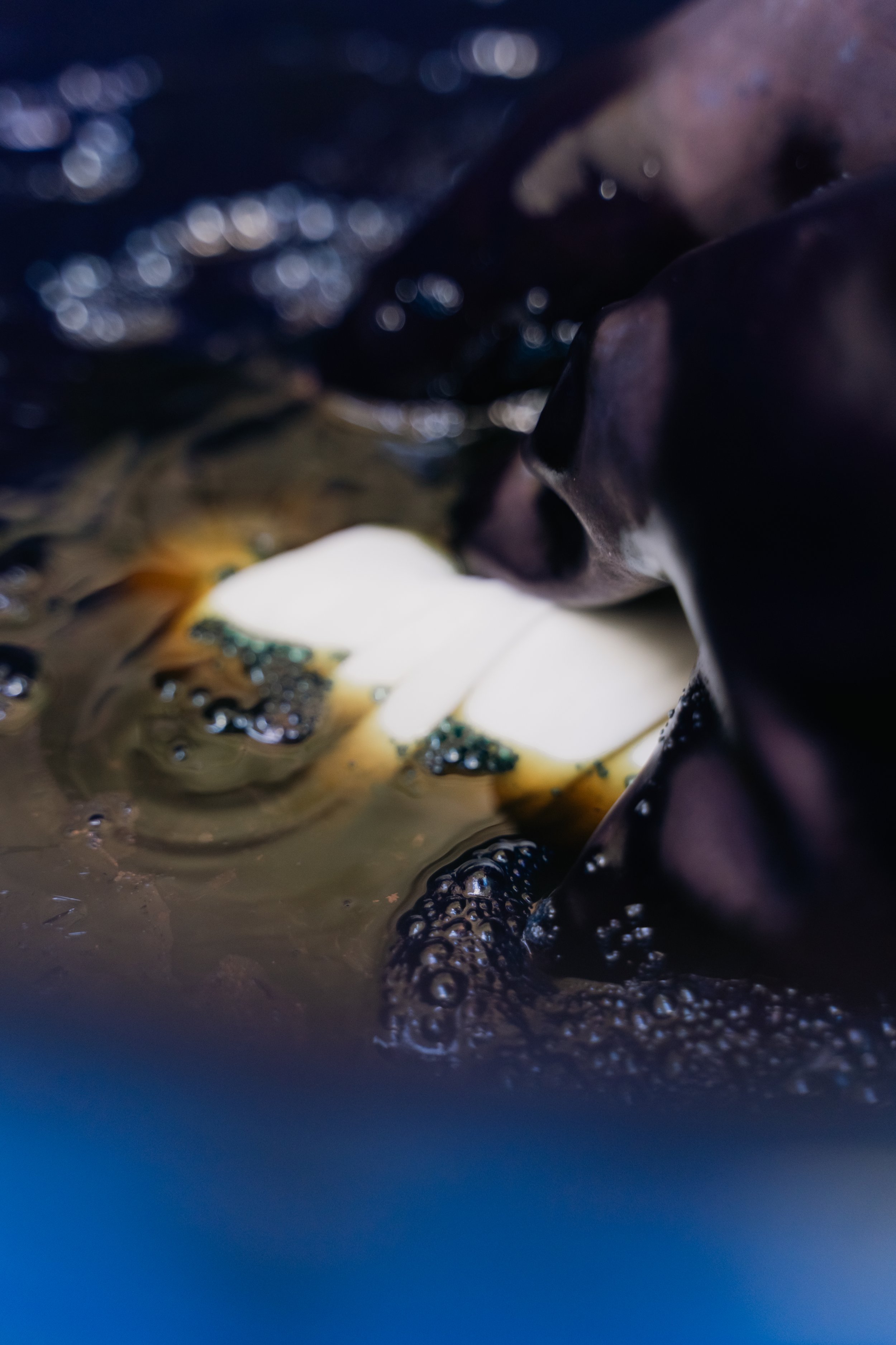 Close-up of black and white chicken eggs in water with bubbles and foam.
