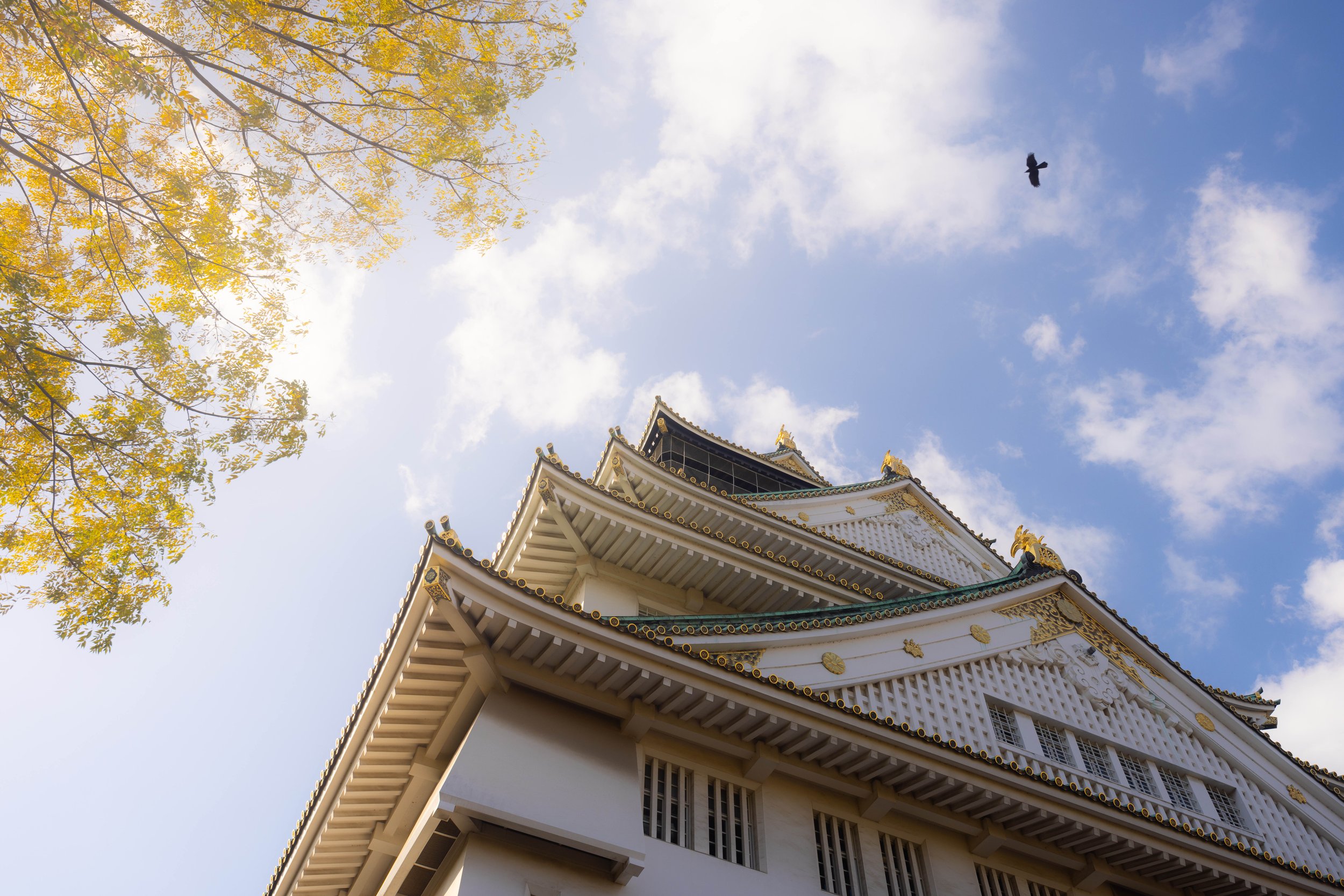 Osaka Castle 2.jpg