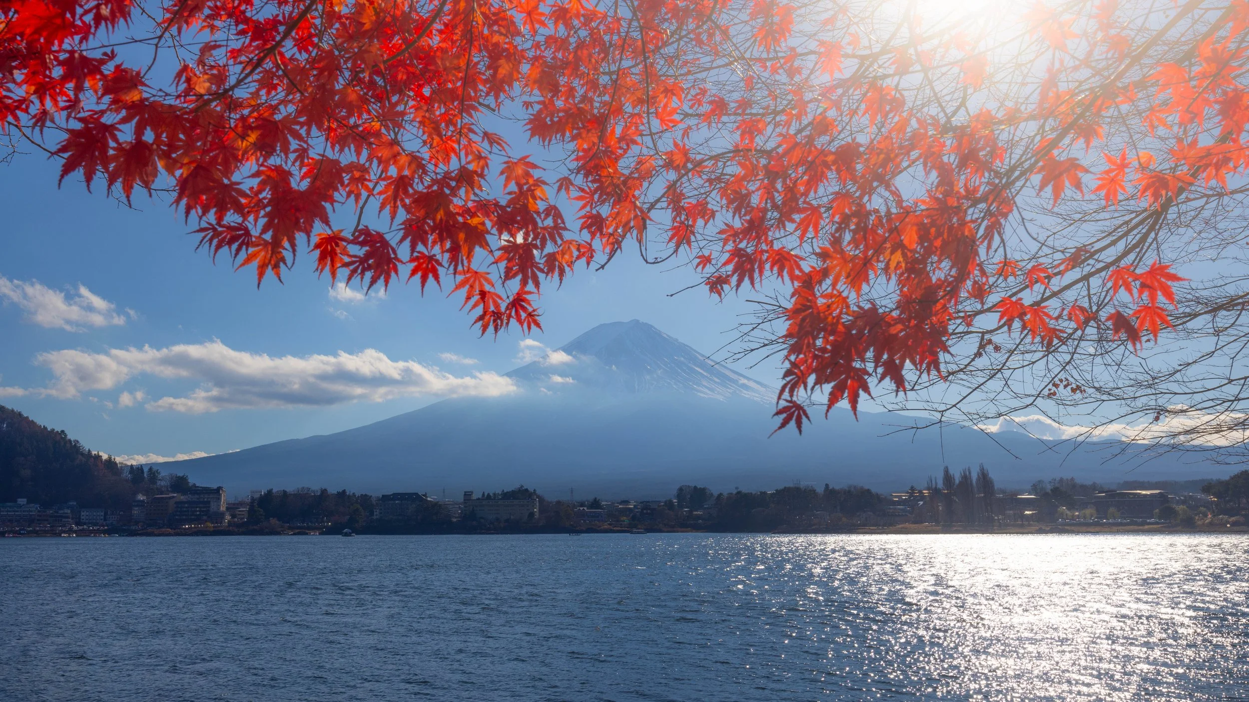 Fuji Leaves 2.jpg