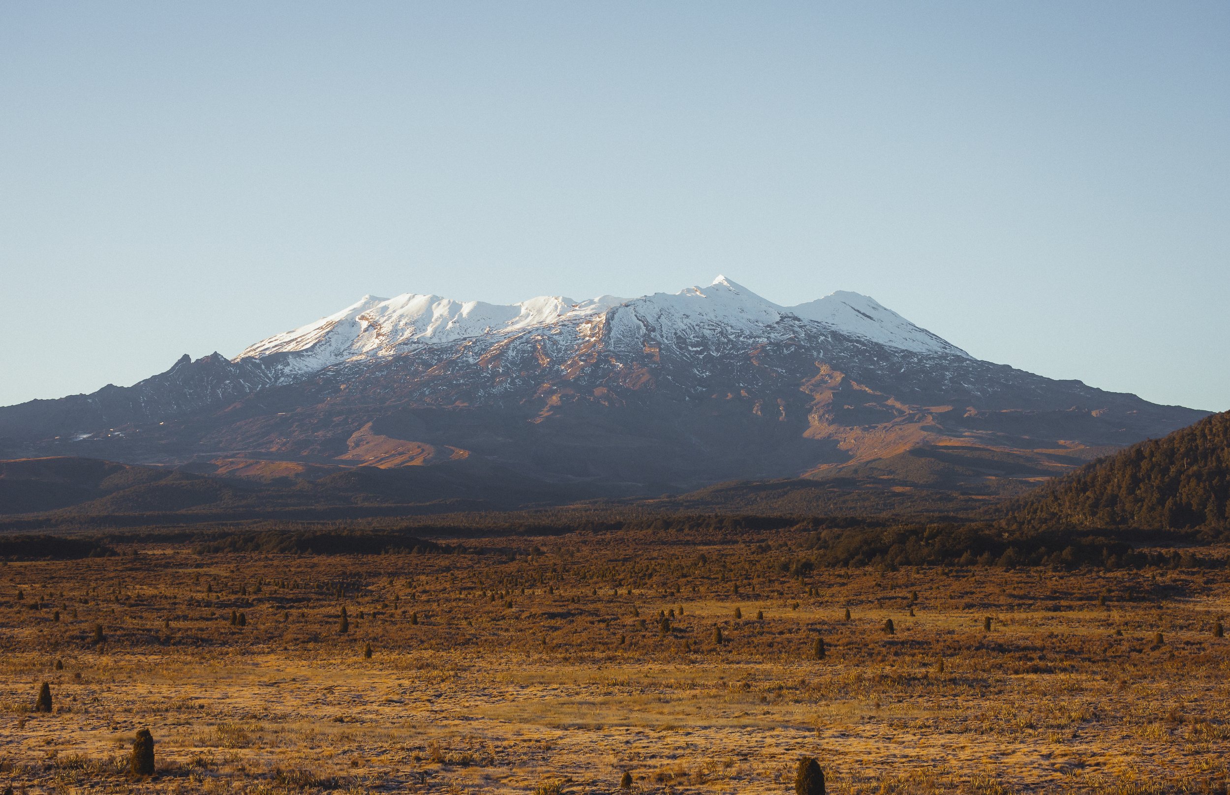 IMG_9073-3.jpg