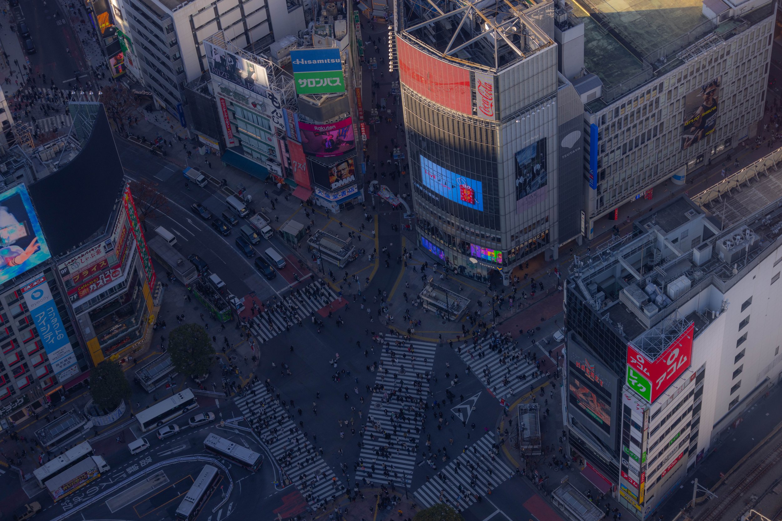 Shibuya scramble.jpg