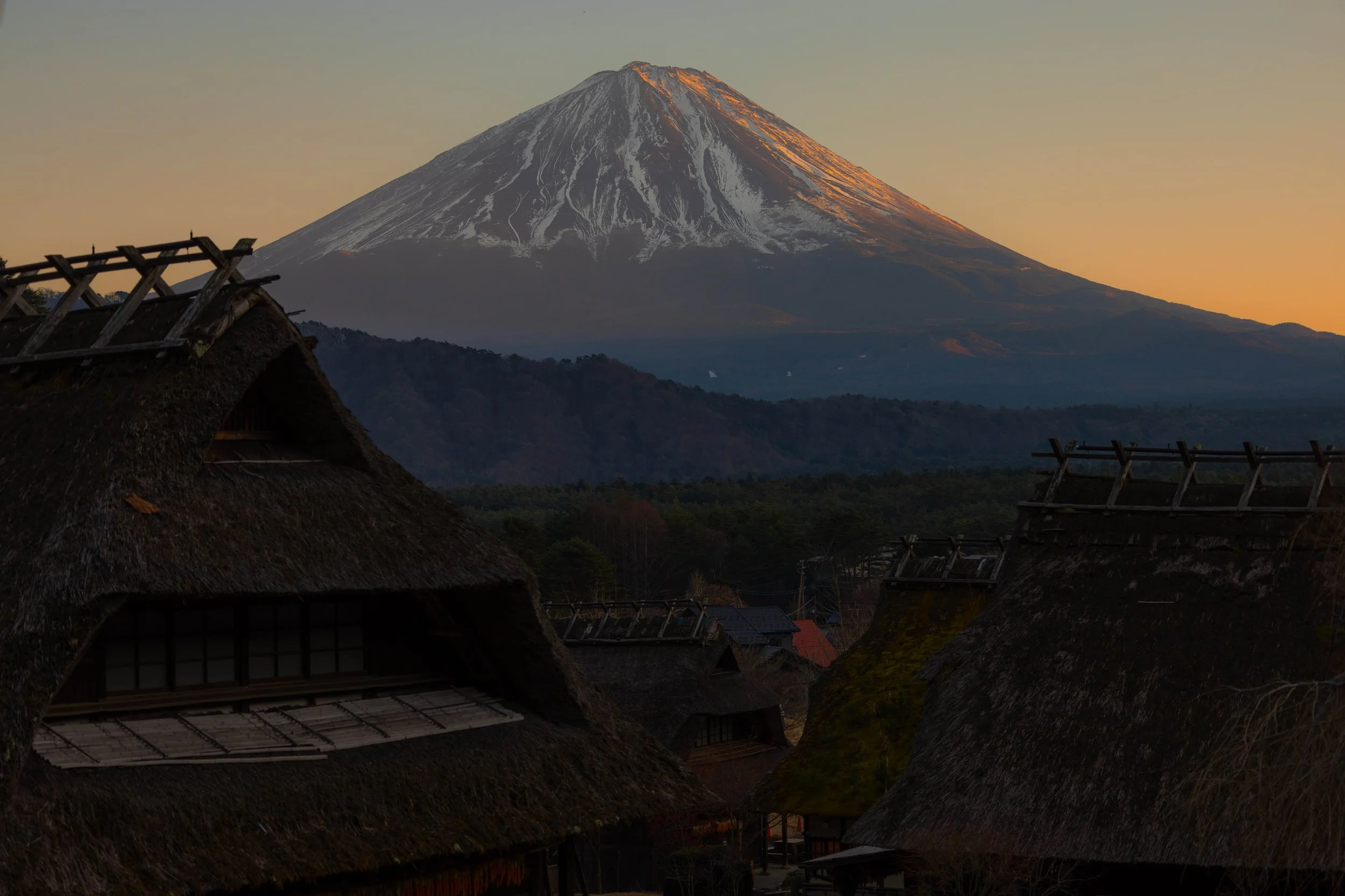 Samurai Fuji 2.jpg