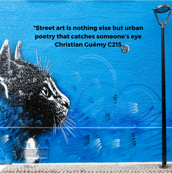 Screen Shot 2023-01-28 at 10.00.46 am.png