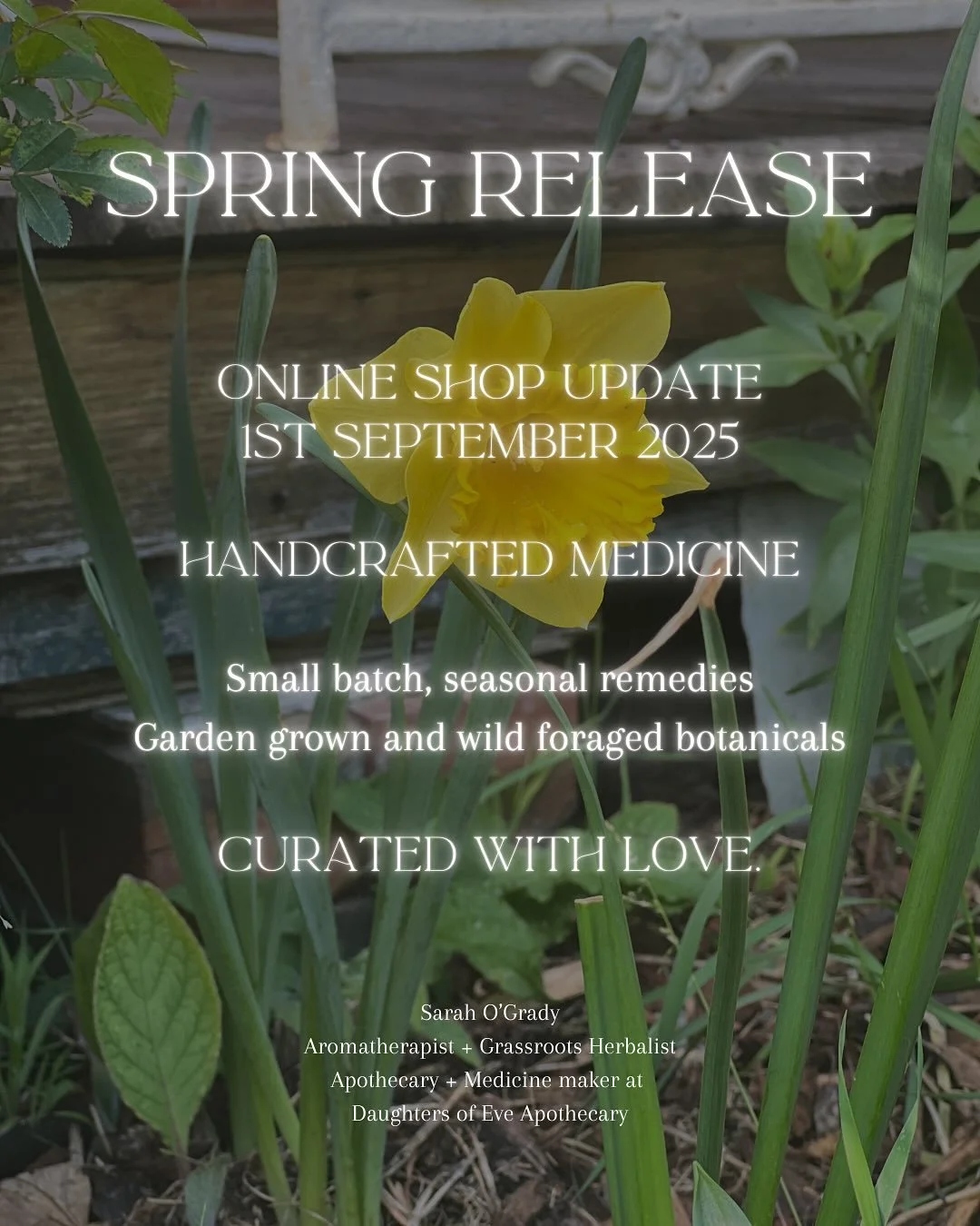 Spring is stirring 🌿
The season is shifting 💐
The days become longer, the air becomes warmer and we slowly drift out of winter ❄️
From the cold soil, new growth emerges bringing with it the promise of rebirth and renewal as the sun begins its great