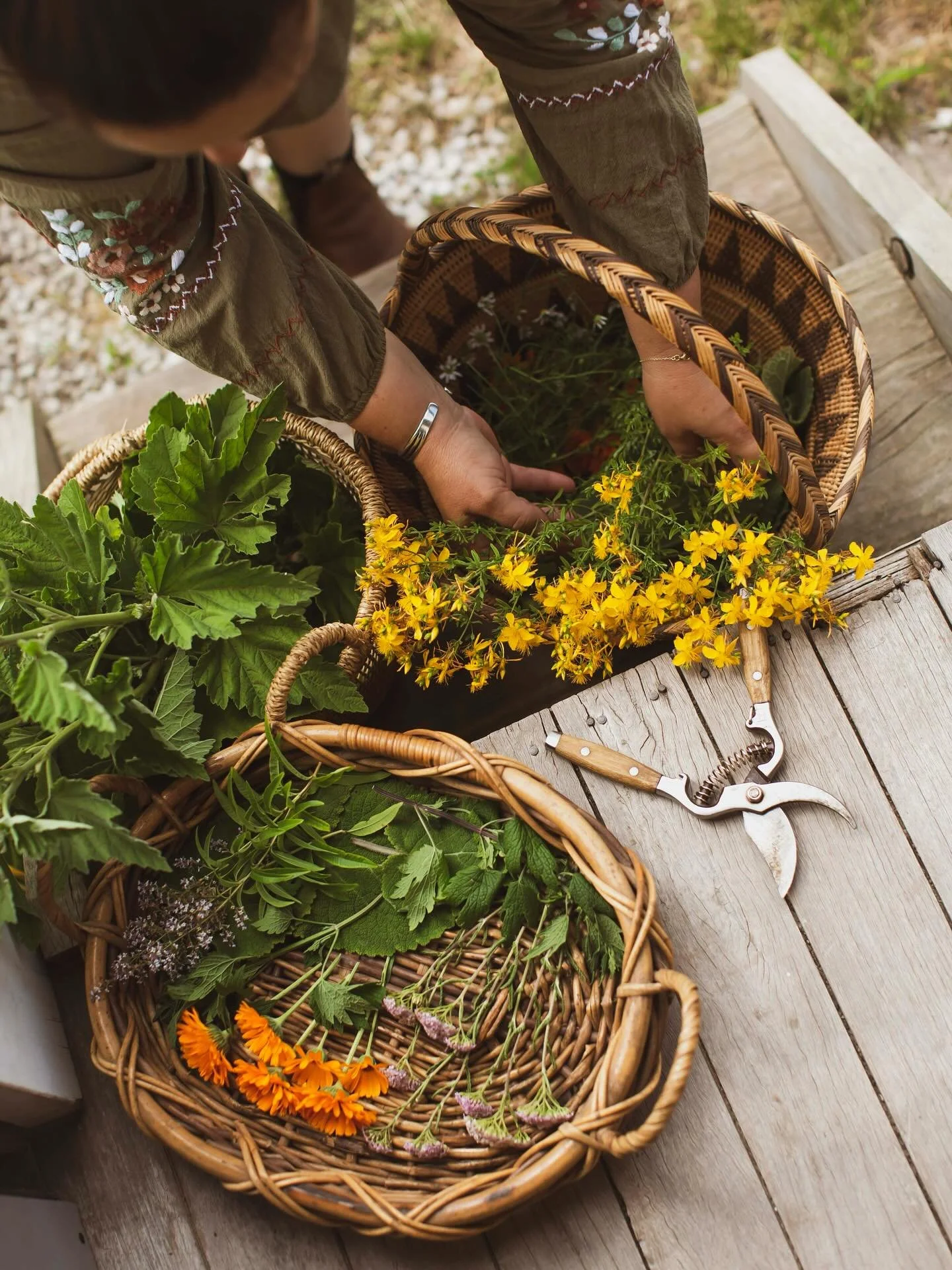Good morning spring maiden - you are welcome here 🌸 Welcome to the energy of abundance and the element of air. 

Daughters of Eve Apothecary spring product range is now live on my website.

Garden grown, wild foraged and mindfully selected oils, res