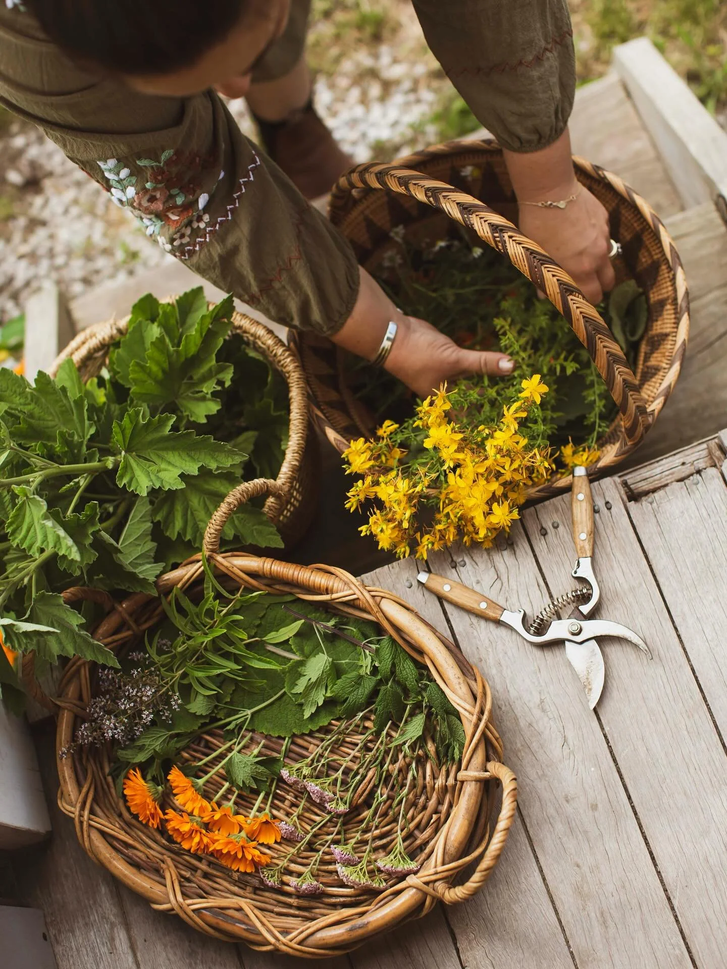 Spring Medicine Making Workshop

Spring is a time of rich abundance in the botanical world, the flowers are in beautiful full bloom and the herbs are alive with potent medicine.

In this two day workshop, I teach the art of crafting herbs into medici