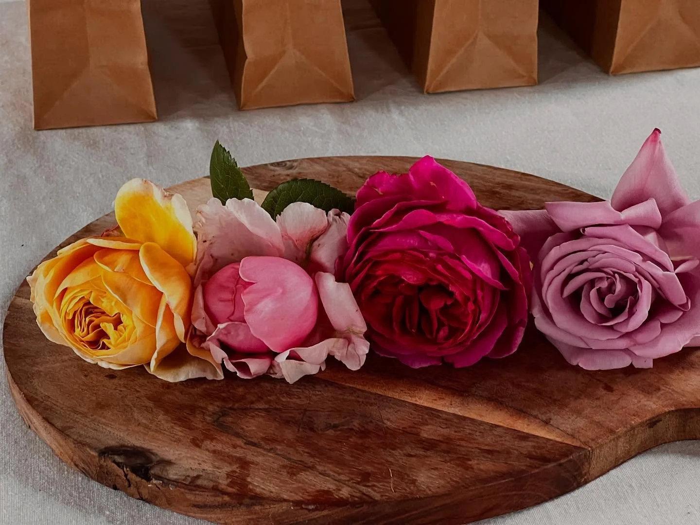 I have facilitated weekend medicine making workshops for three seasons now. We have moved through Winter, Spring and Summer and only Autumn remains.

Guided and supported by the elements, this workshop has moved and changed as I have moved and change